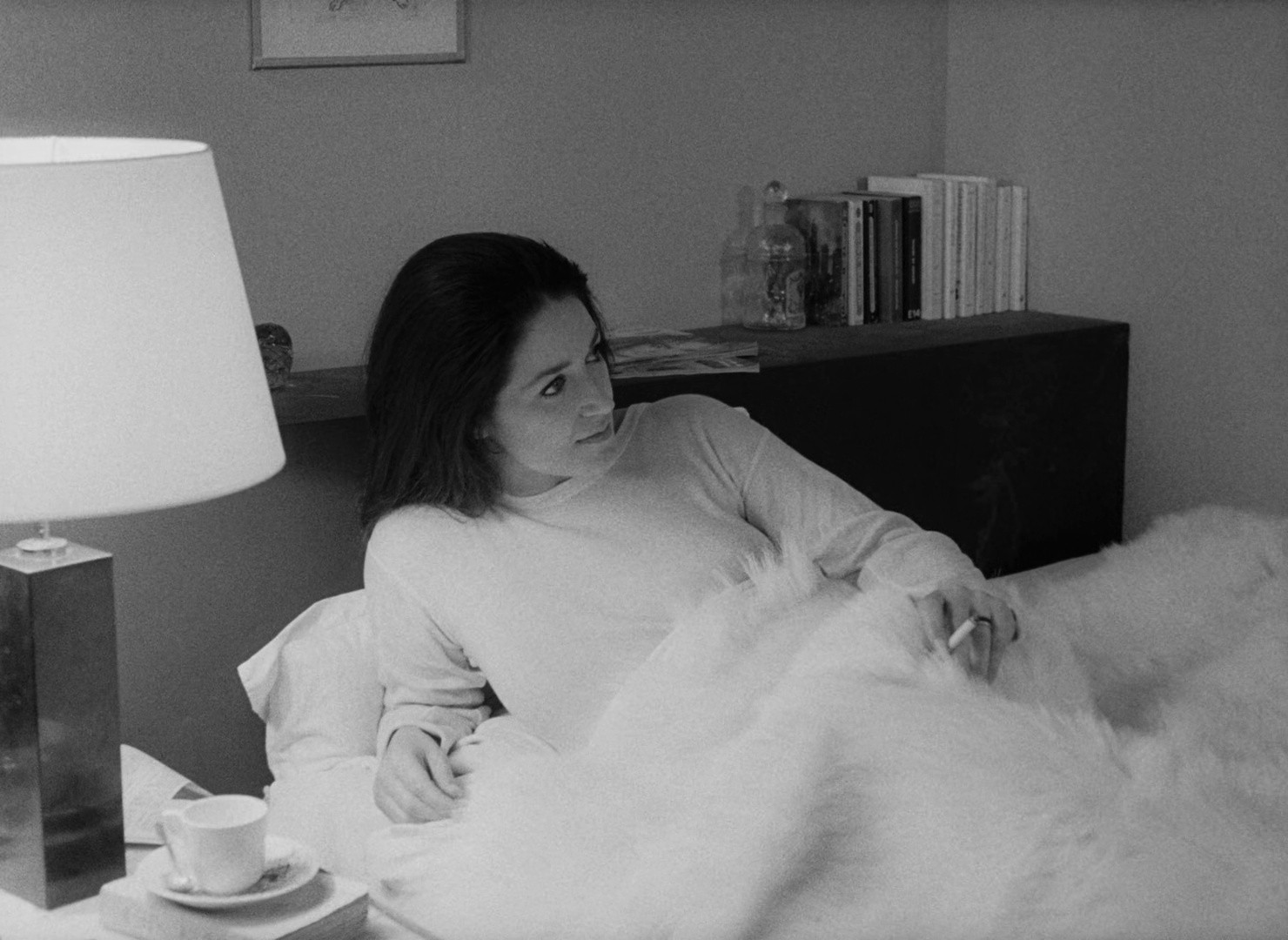 My Night at Maud's (1969) —  shot,  lighting