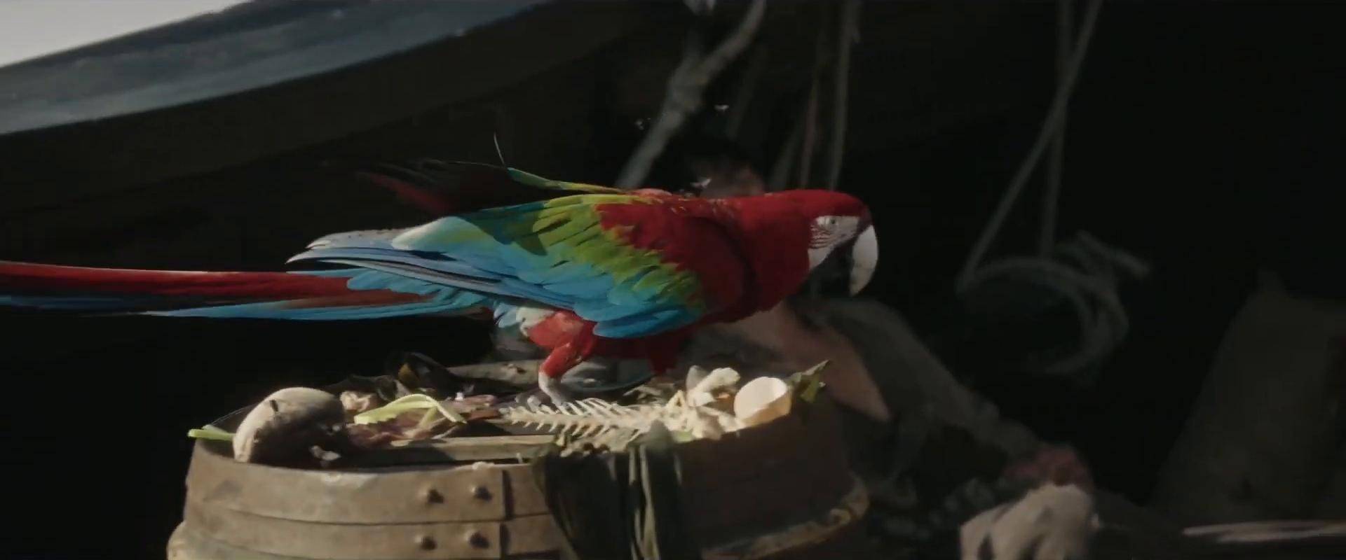 Old Spice: Unbelievable (2025) —  shot,  lighting