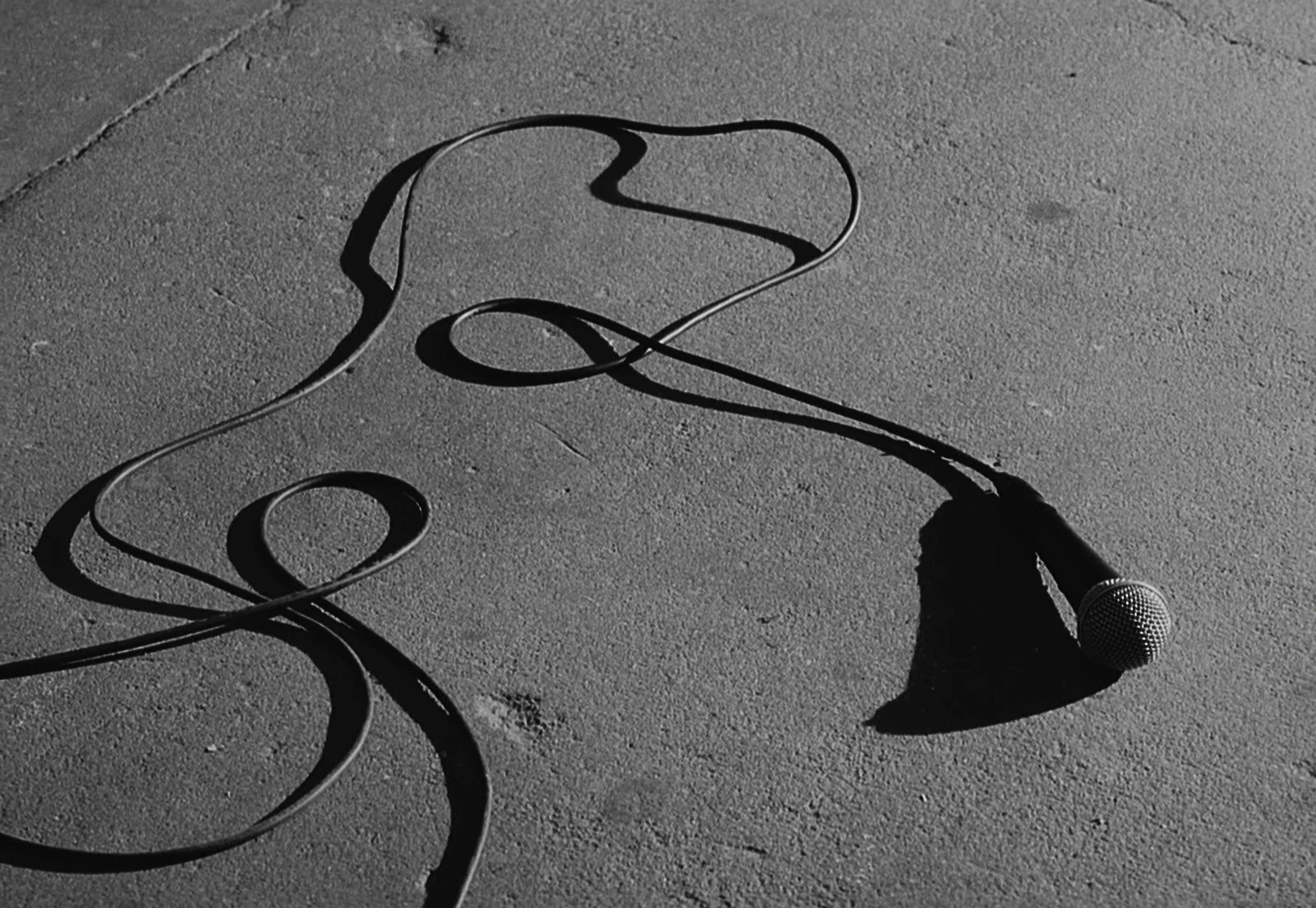 Legalize Living (2025) —  shot,  lighting