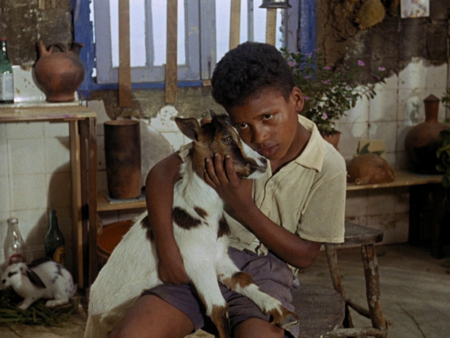 Black Orpheus (1959) —  shot,  lighting