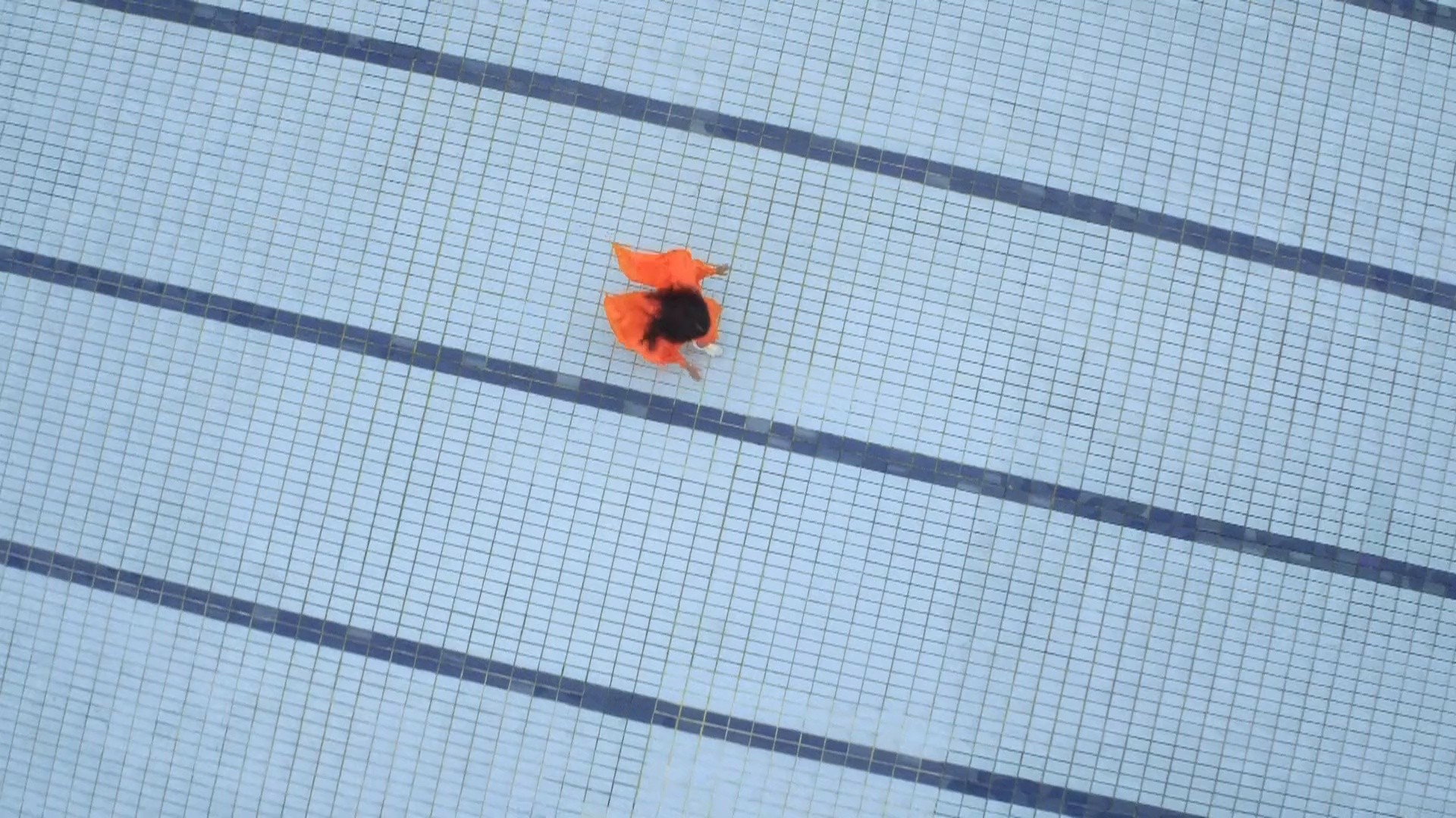 Run Loubi Run (2019) —  shot,  lighting