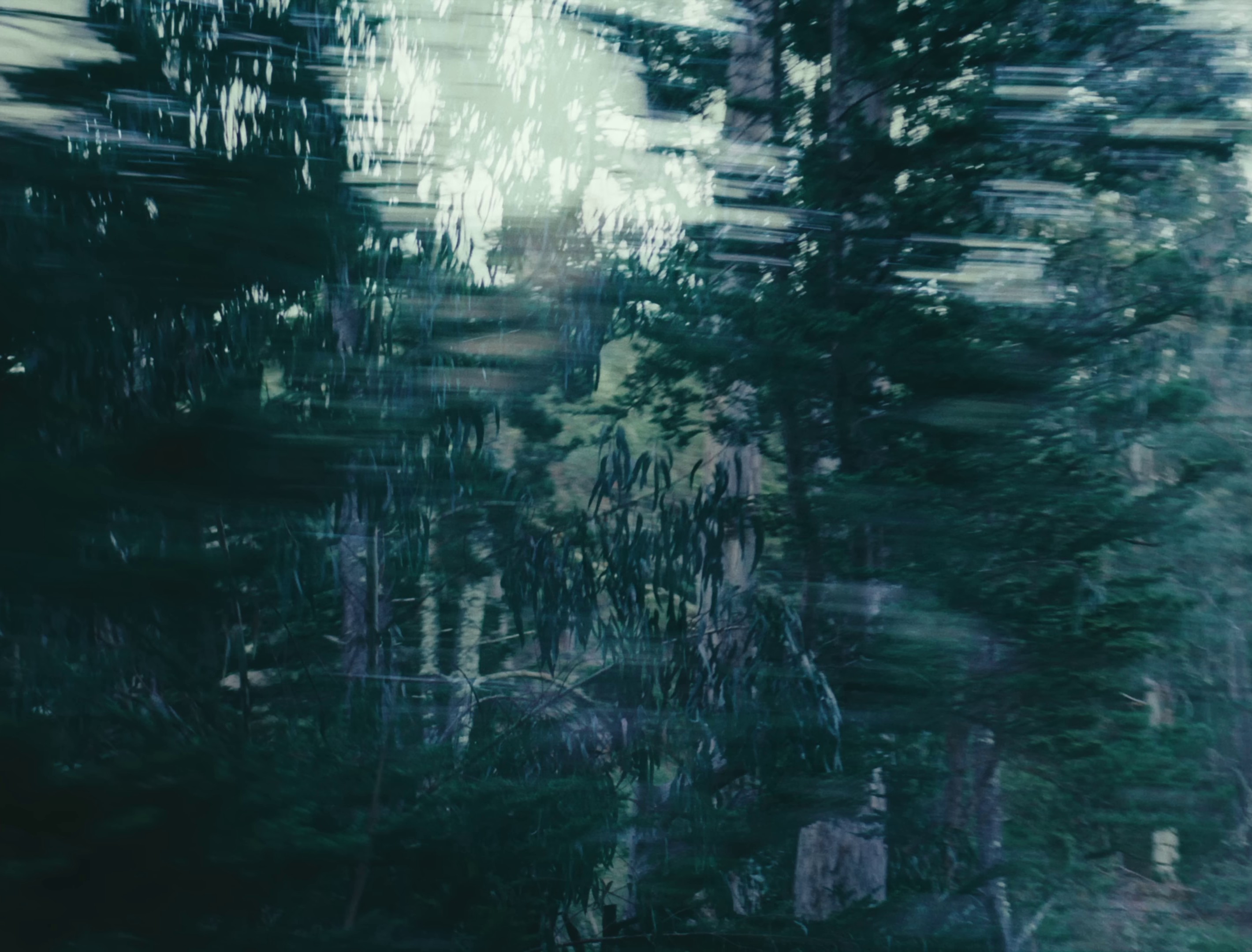 Bad radio  (2022) —  shot,  lighting