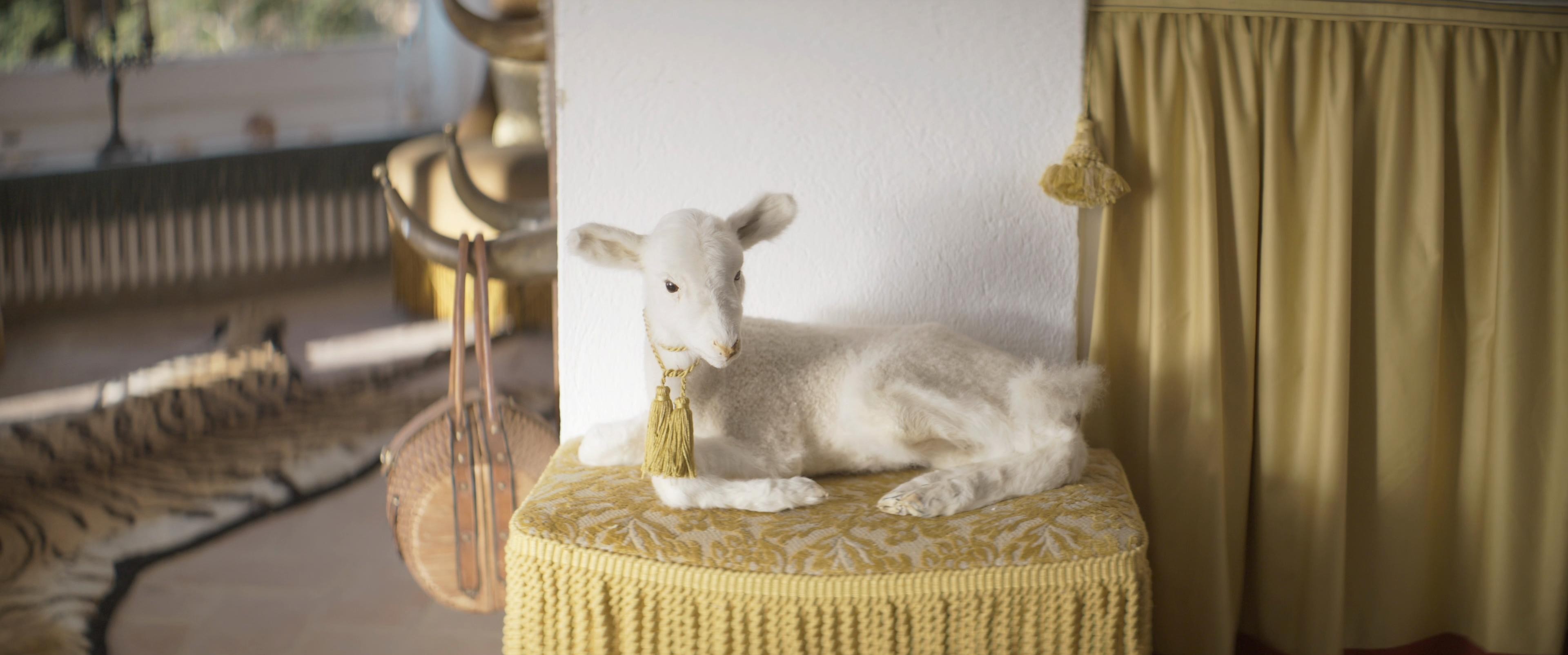 Daaaaaali! (2024) —  shot,  lighting