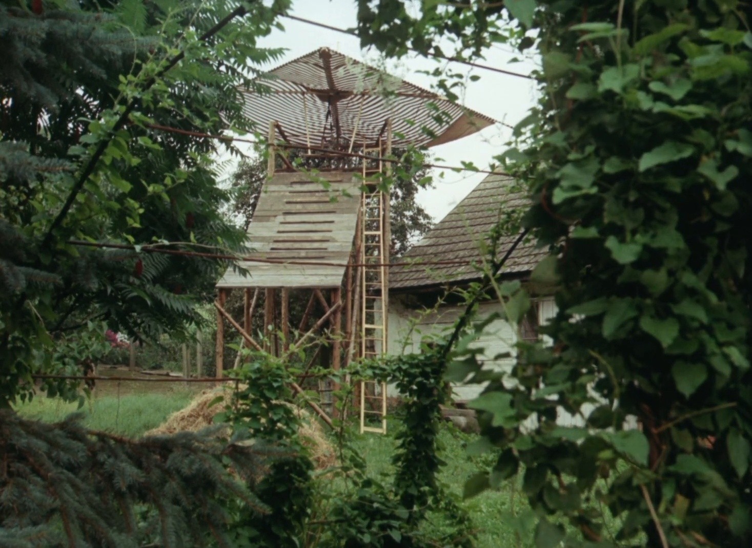 Ghosts of the Dormers (1988) —  shot,  lighting