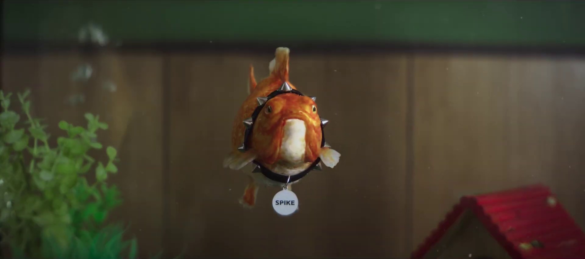 Maybe it’s time to switch | Fish Whisperer 30" (2024) —  shot,  lighting