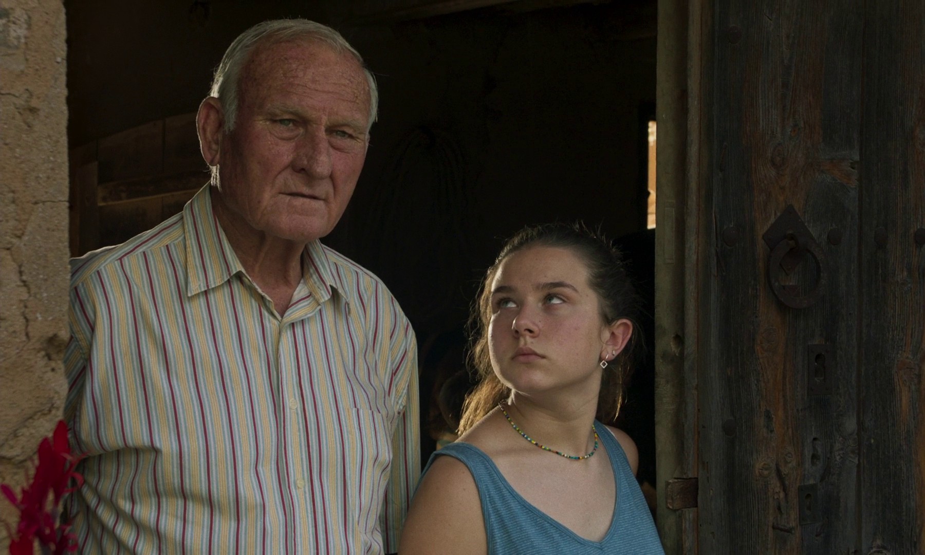 Alcarras (2022) —  shot,  lighting