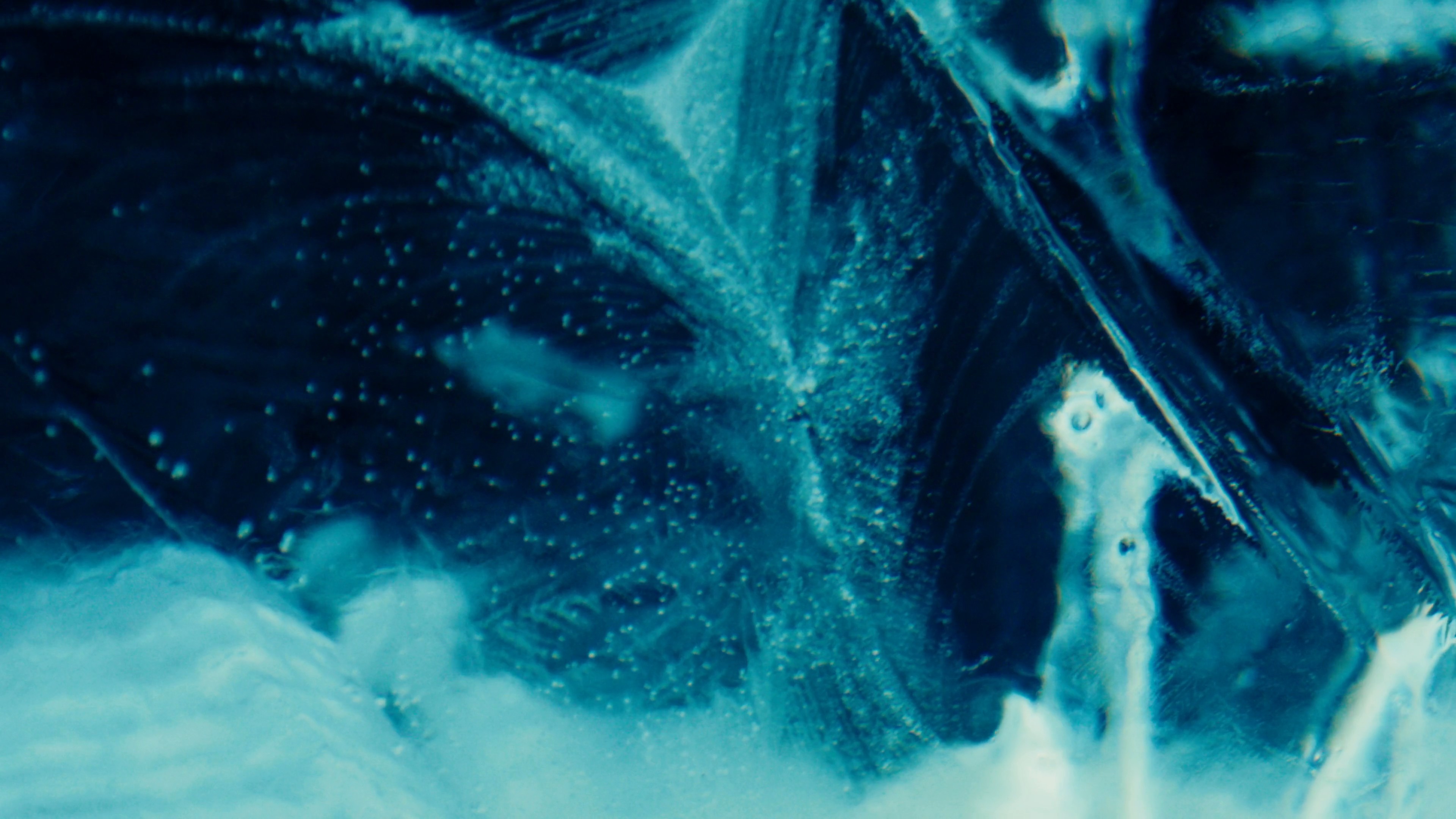 Campari Negroni week 2024 (2024) —  shot,  lighting