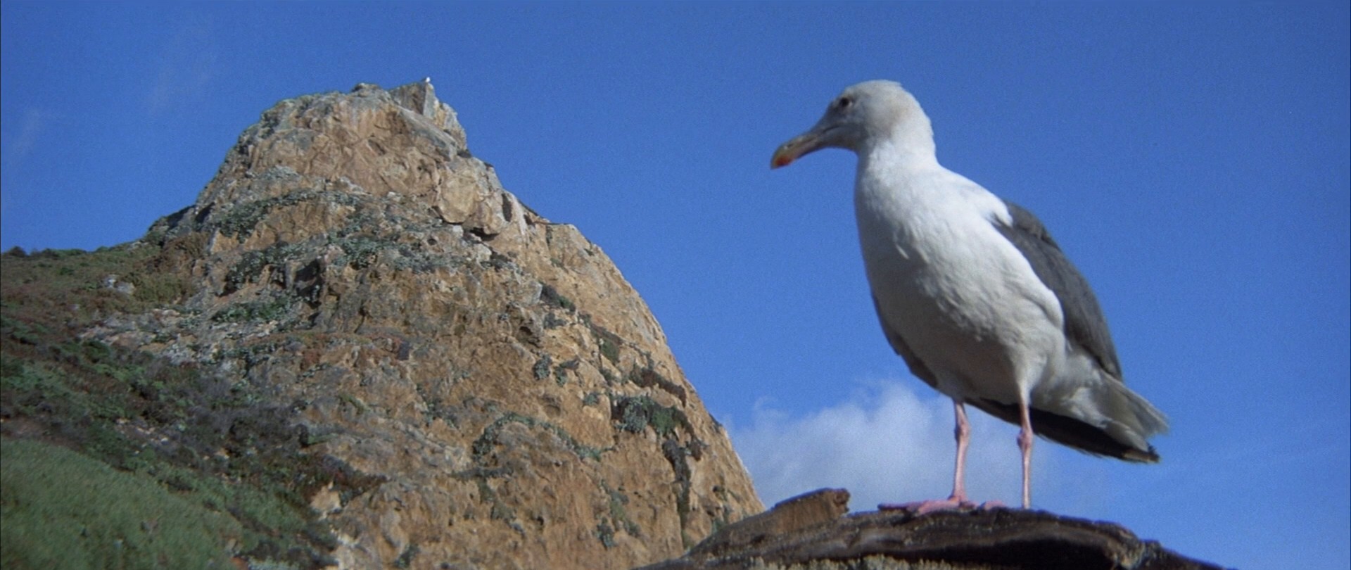 Jonathan Livingston Seagull (1973) —  shot,  lighting