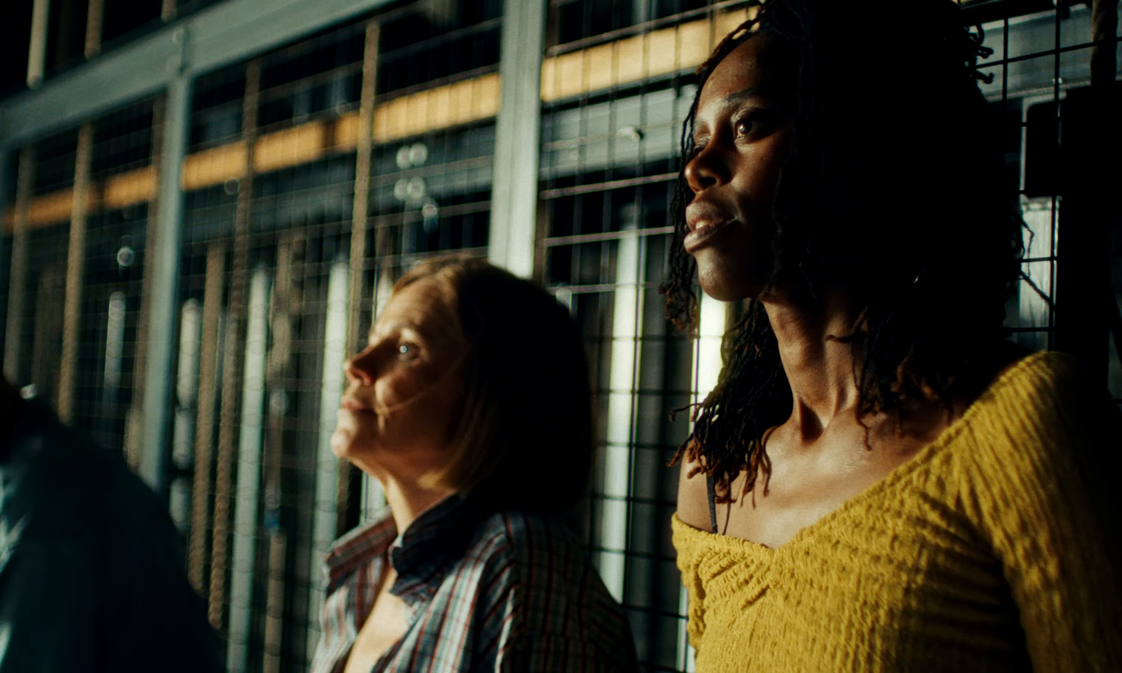 Falling Deep (2024) —  shot,  lighting