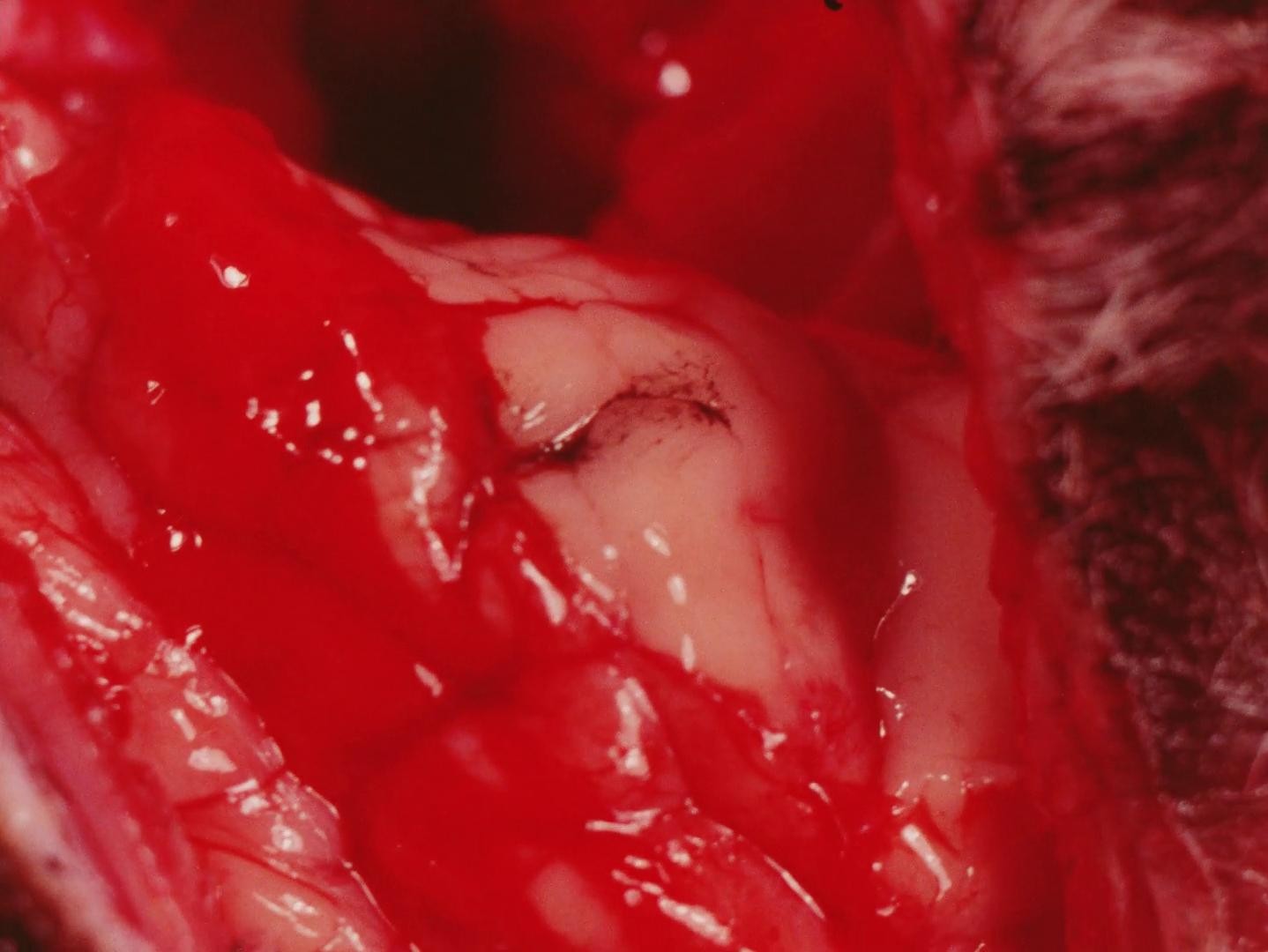 Esquizo (1992) —  shot,  lighting