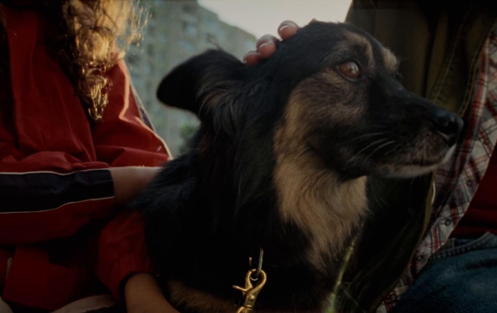 Nie porzucaj x TOZ (2024) —  shot,  lighting