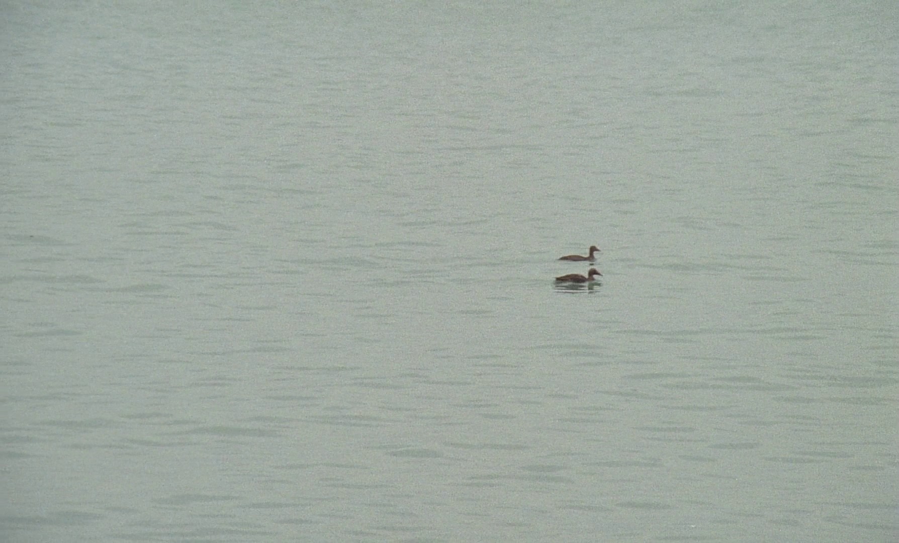 Immoral Tales (1974) —  shot,  lighting