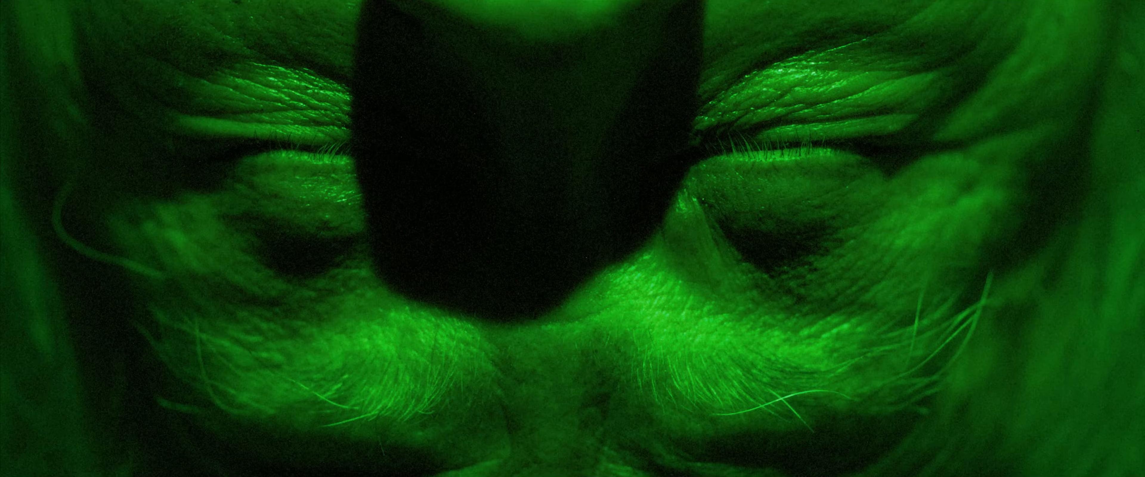 Big Sleep (2025) —  shot,  lighting