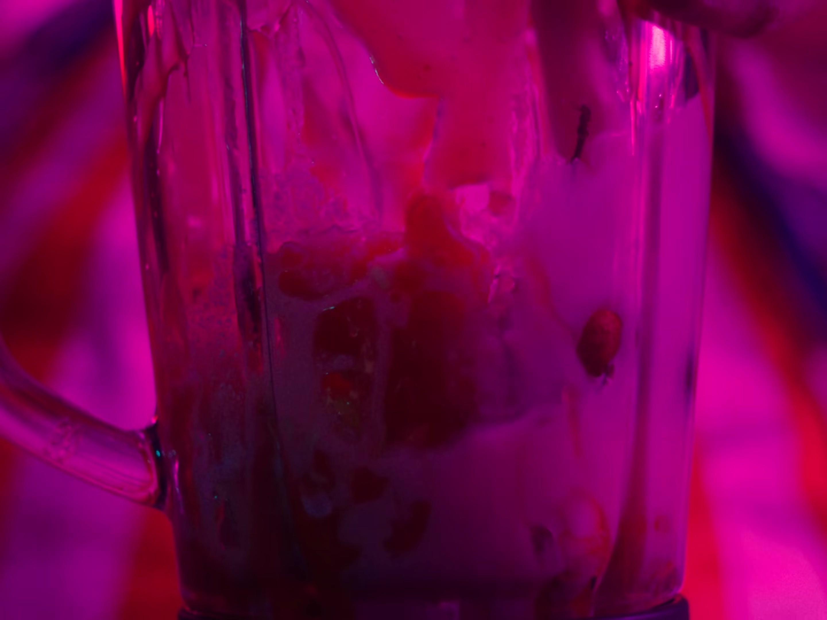 Milkshake Man (2025) —  shot,  lighting