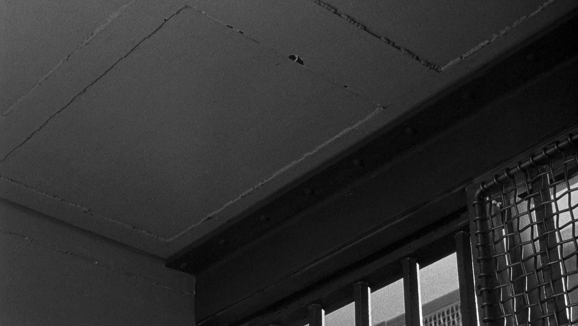 The Wrong Man (1957) —  shot,  lighting