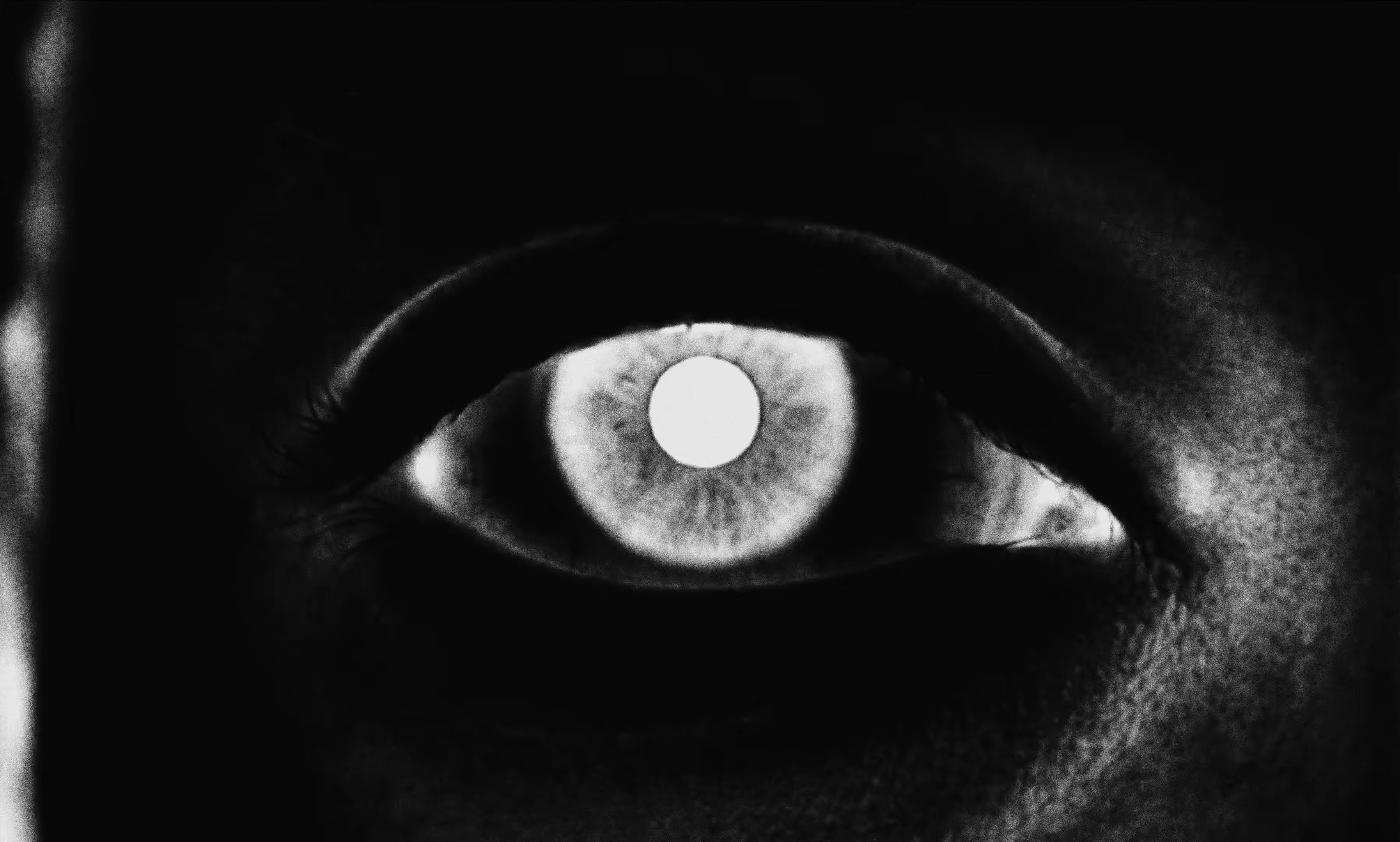 No Compadre (2026) —  shot,  lighting