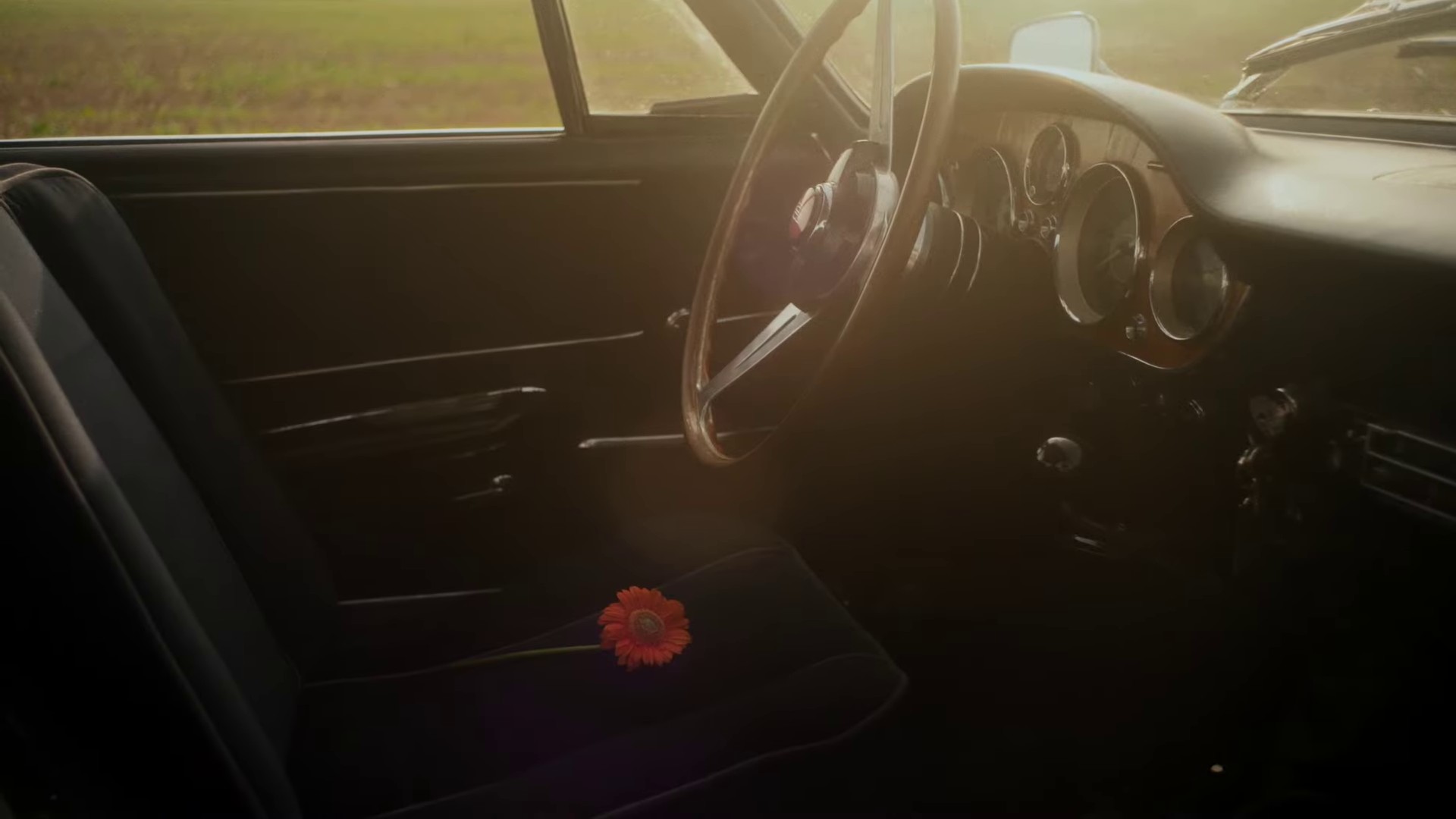 HORNS (2023) —  shot,  lighting