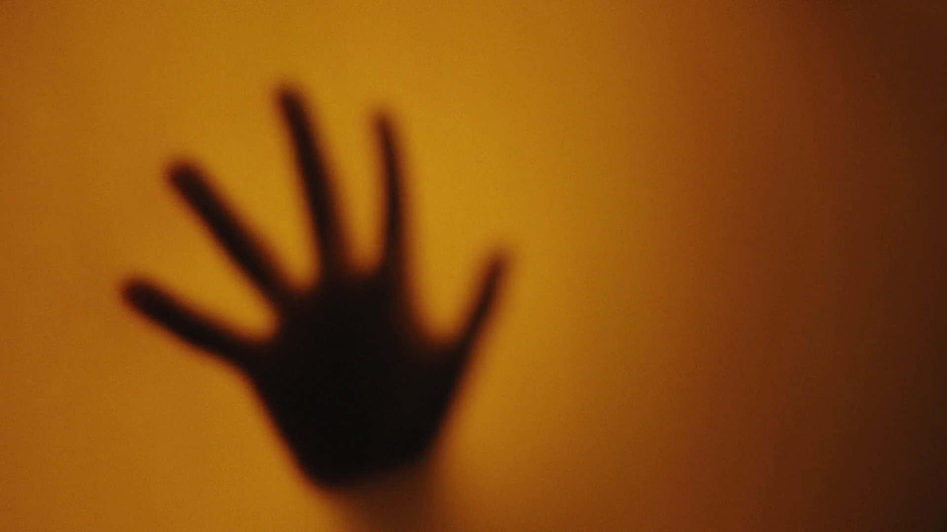 Him or her  (2022) —  shot,  lighting