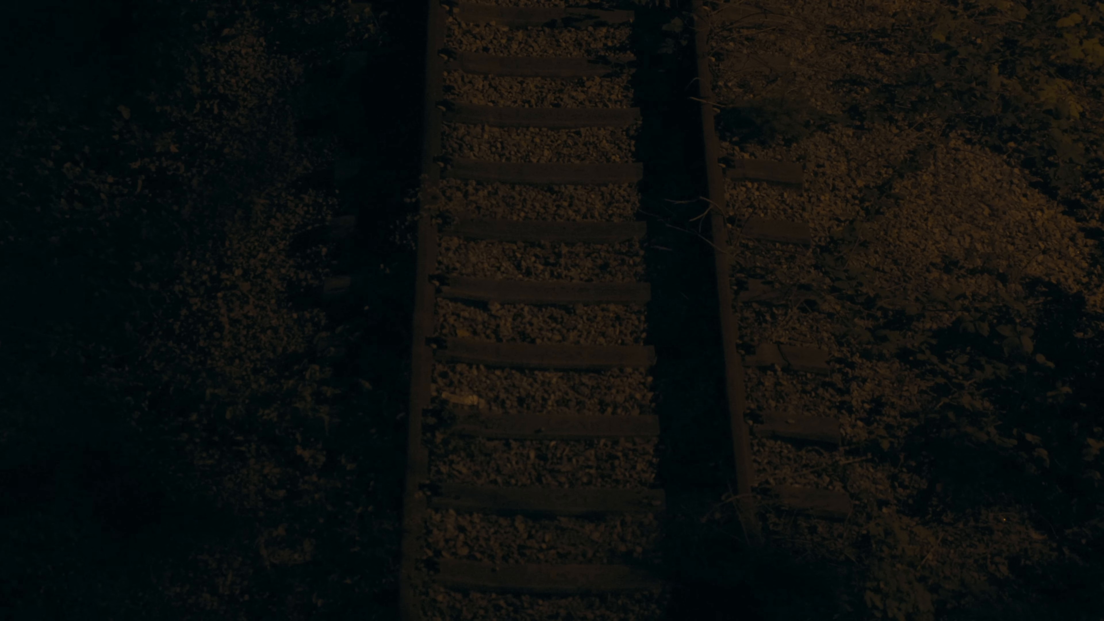 Magpie (2024) —  shot,  lighting