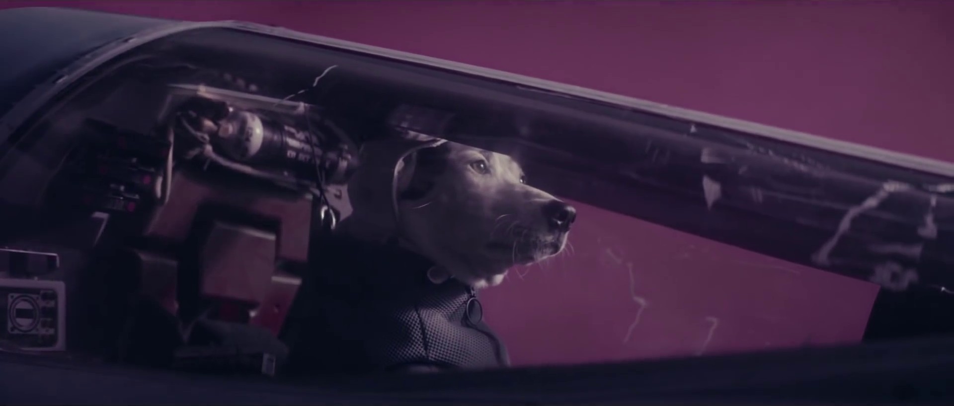 We've Got To Try (2019) —  shot,  lighting