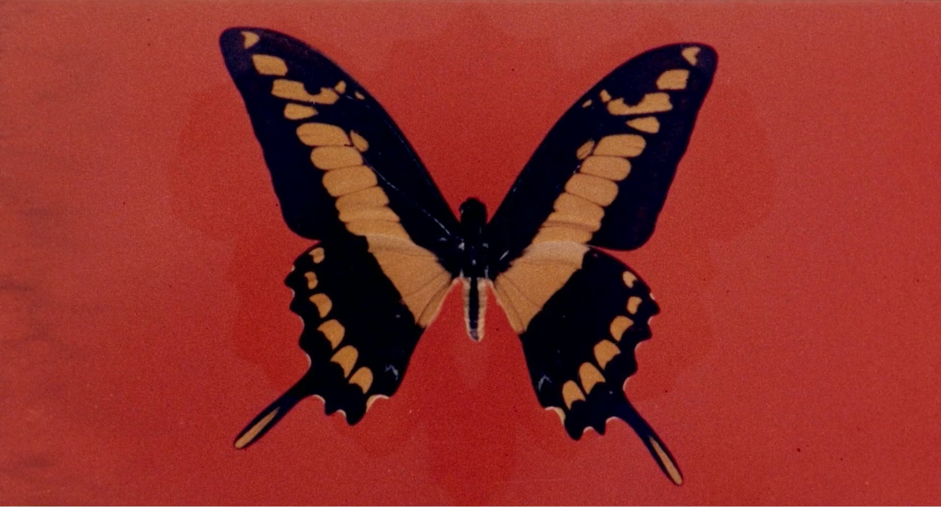 Four Times That Night (1971) —  shot,  lighting