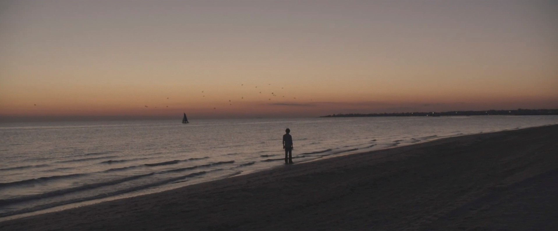 Lion (2016) —  shot,  lighting