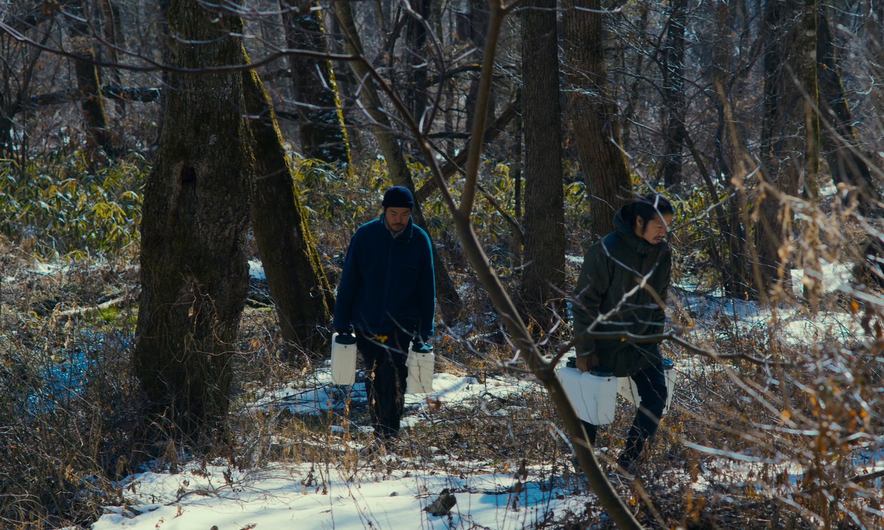 Evil Does Not Exist (2024) —  shot,  lighting