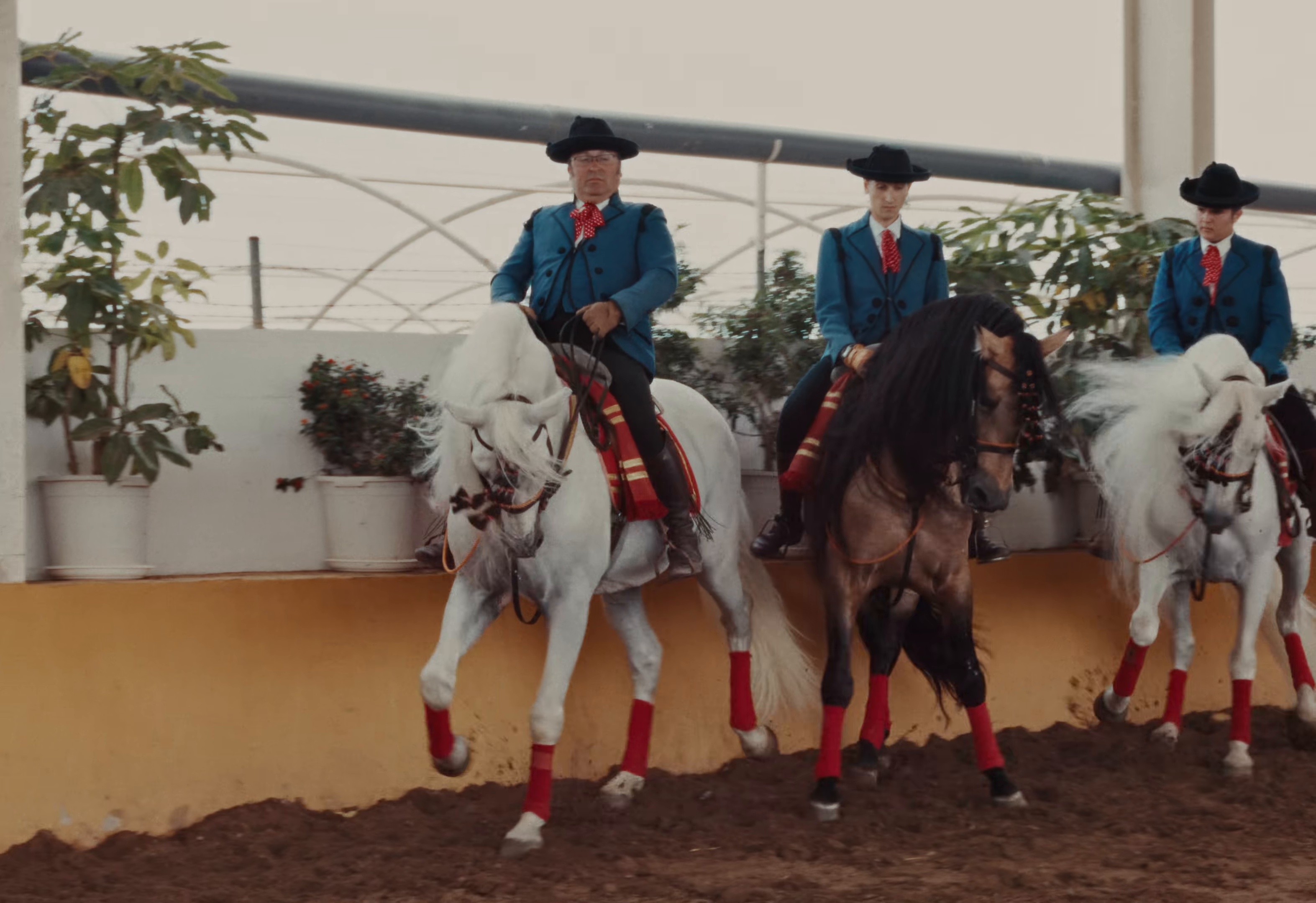 HIM ALL ALONG (2024) —  shot,  lighting