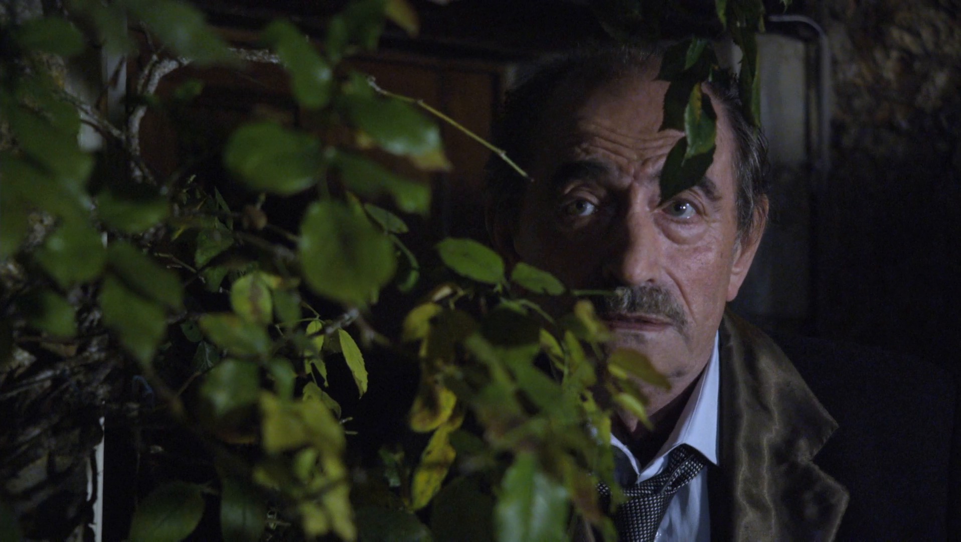 Le mystère des jonquilles (2015) —  shot,  lighting