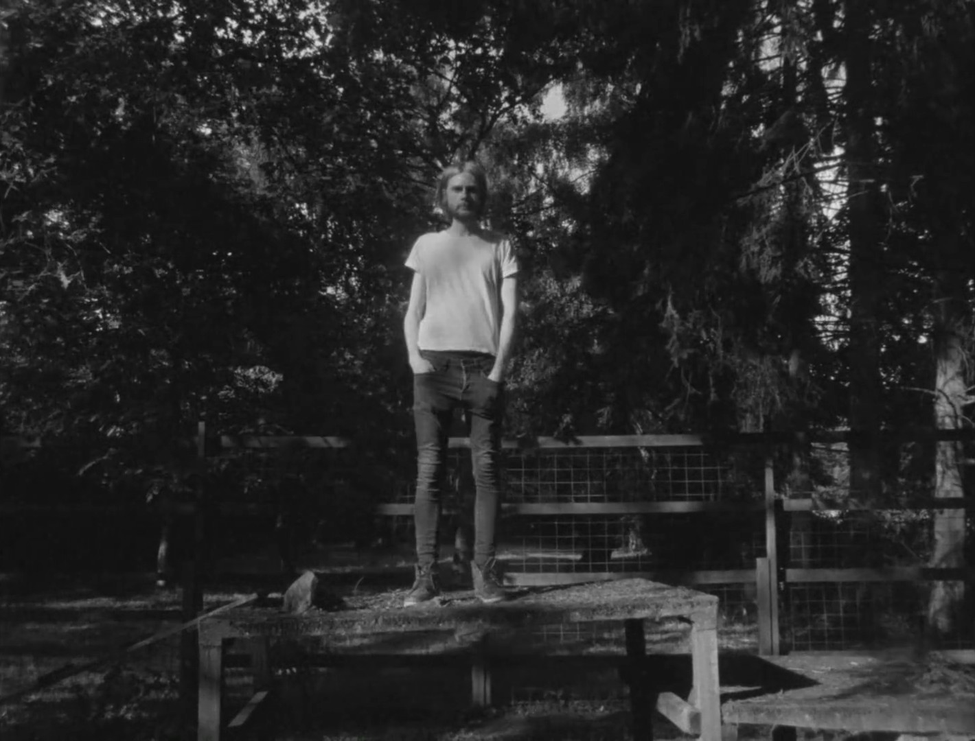 Knock Out Ginger (2014) —  shot,  lighting