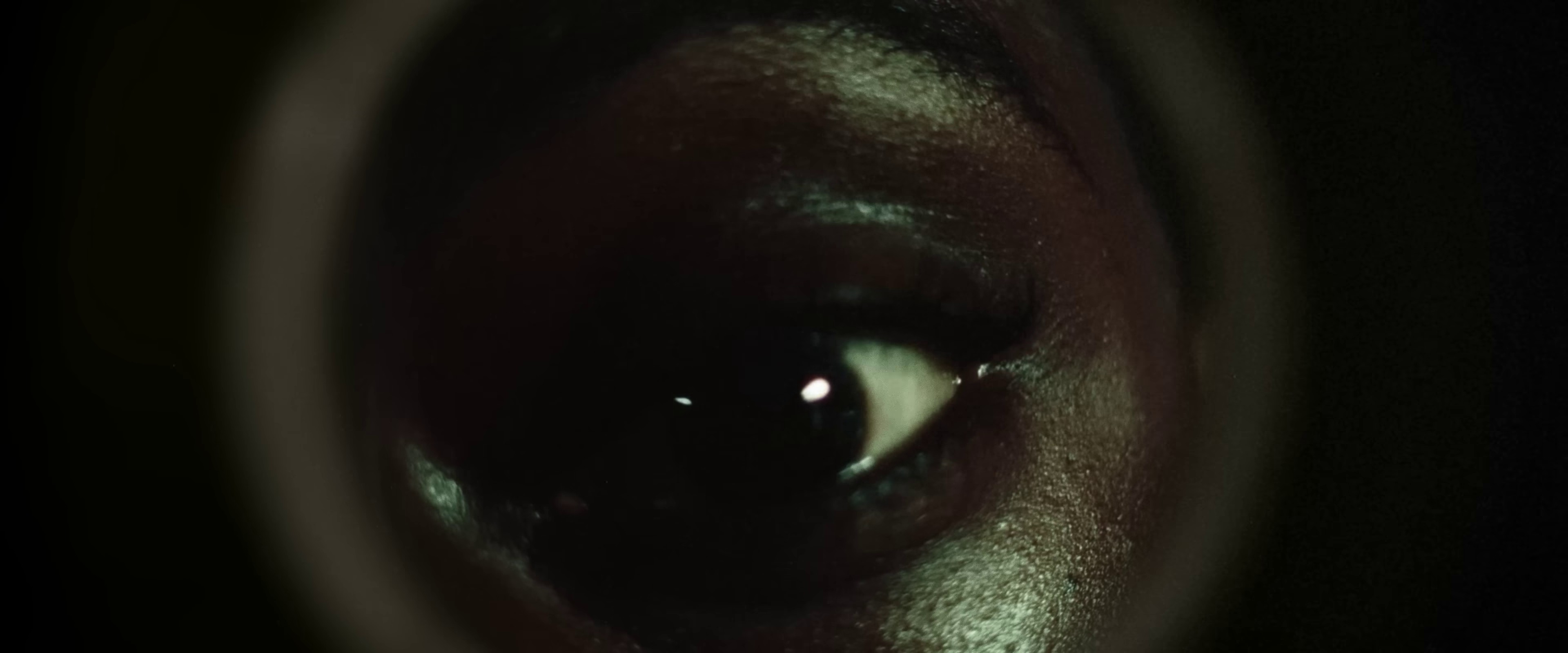 3 singes (2023) —  shot,  lighting