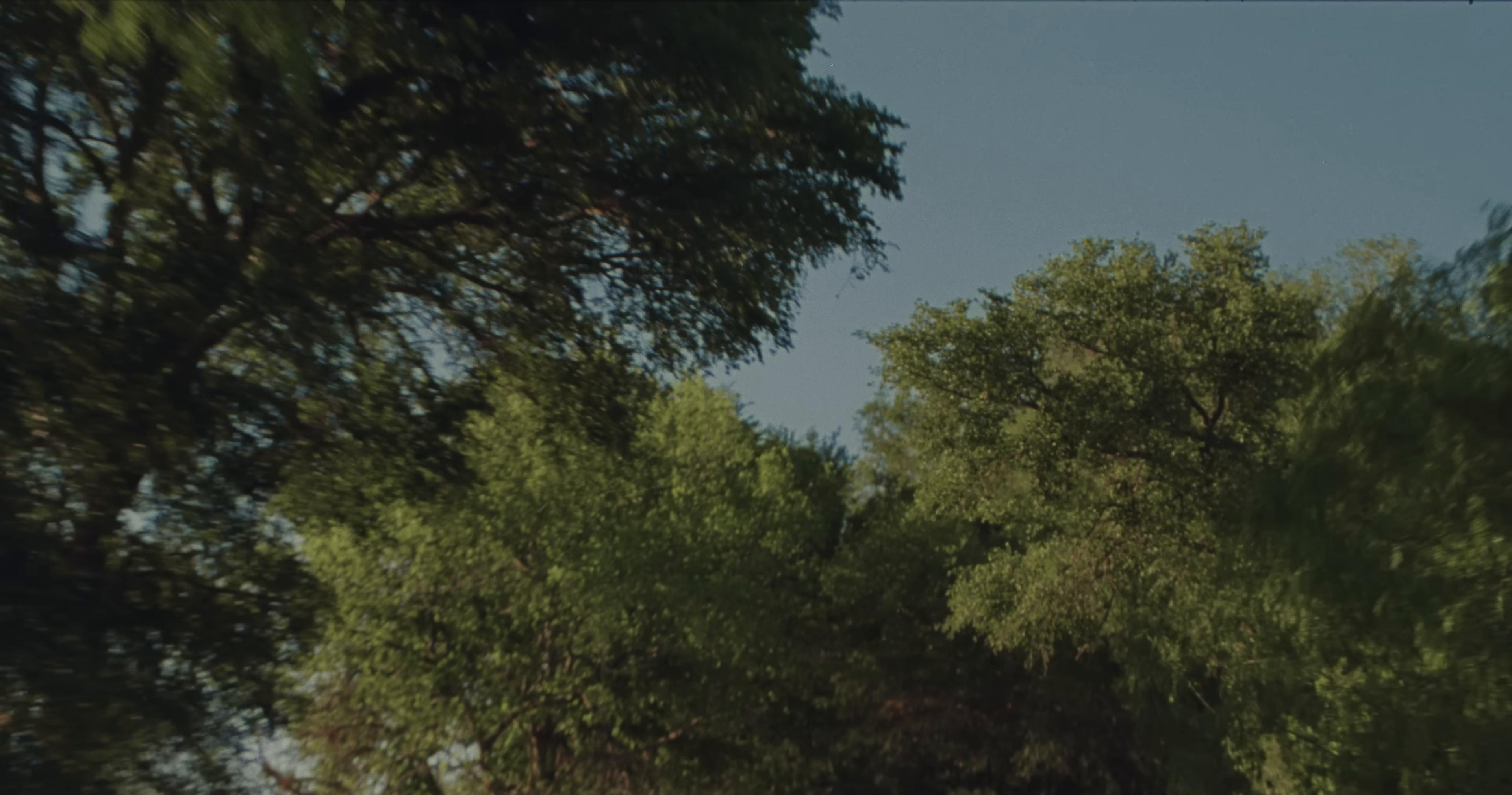 This Song (2025) —  shot,  lighting