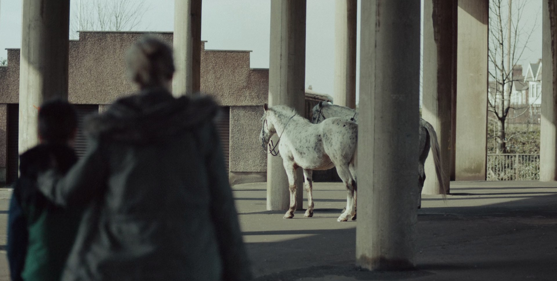 Beloved (2019) —  shot,  lighting