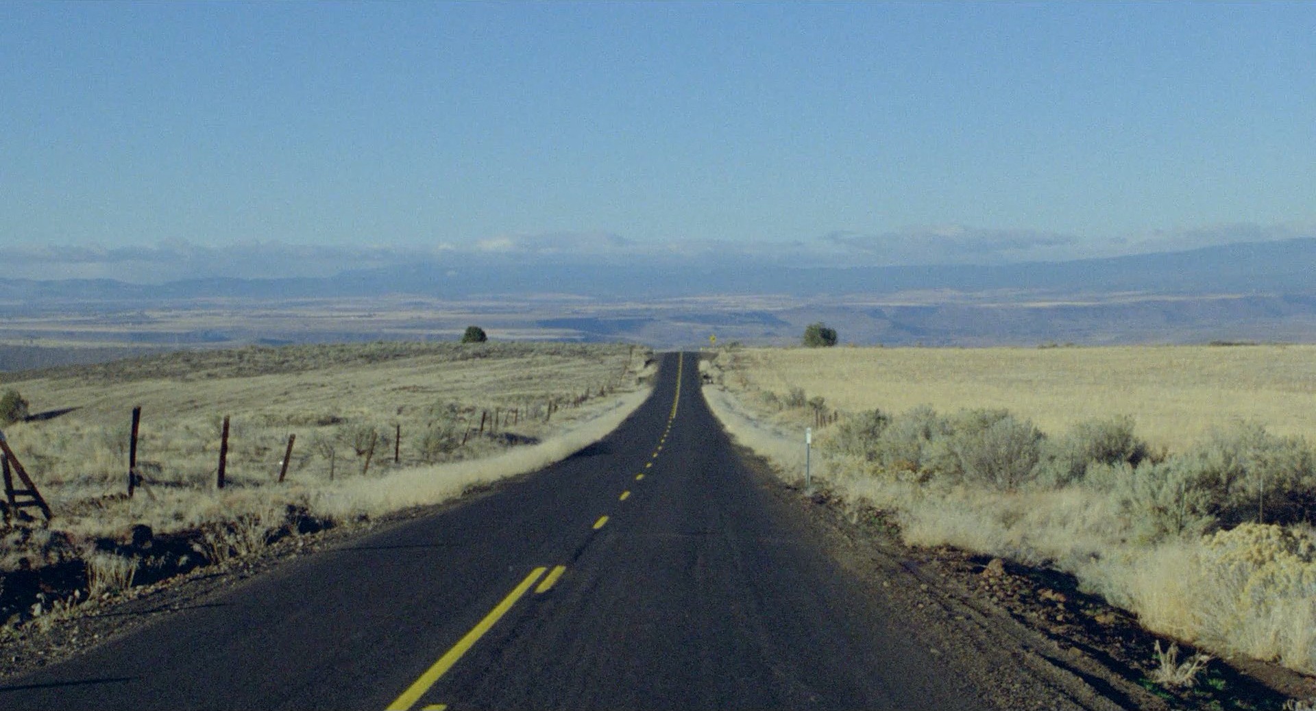 My Own Private Idaho (1991) —  shot,  lighting