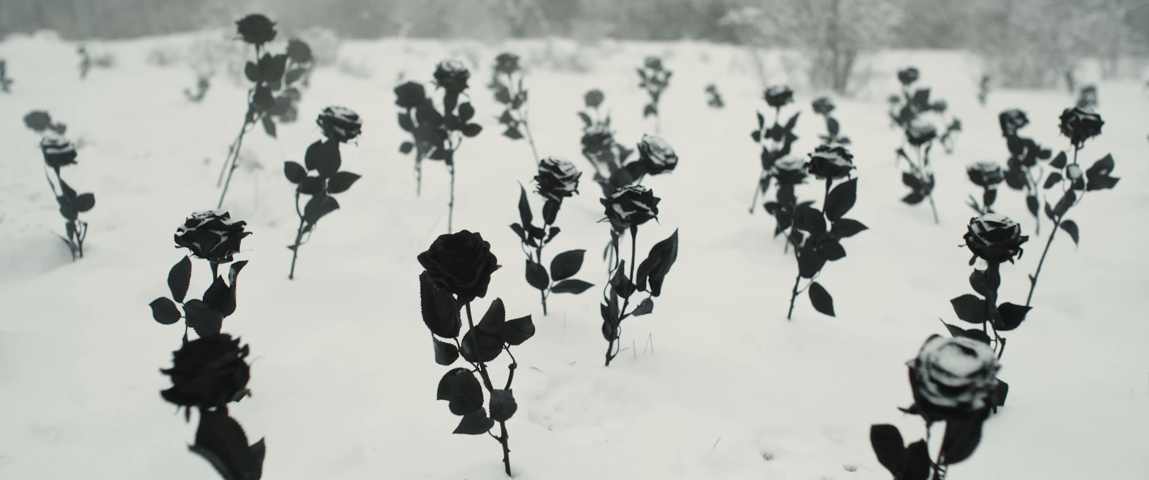 Hello Heaven, Hello (2025) —  shot,  lighting