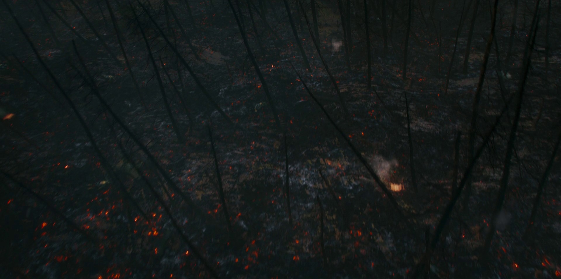 A Grain of Truth (2021) —  shot,  lighting