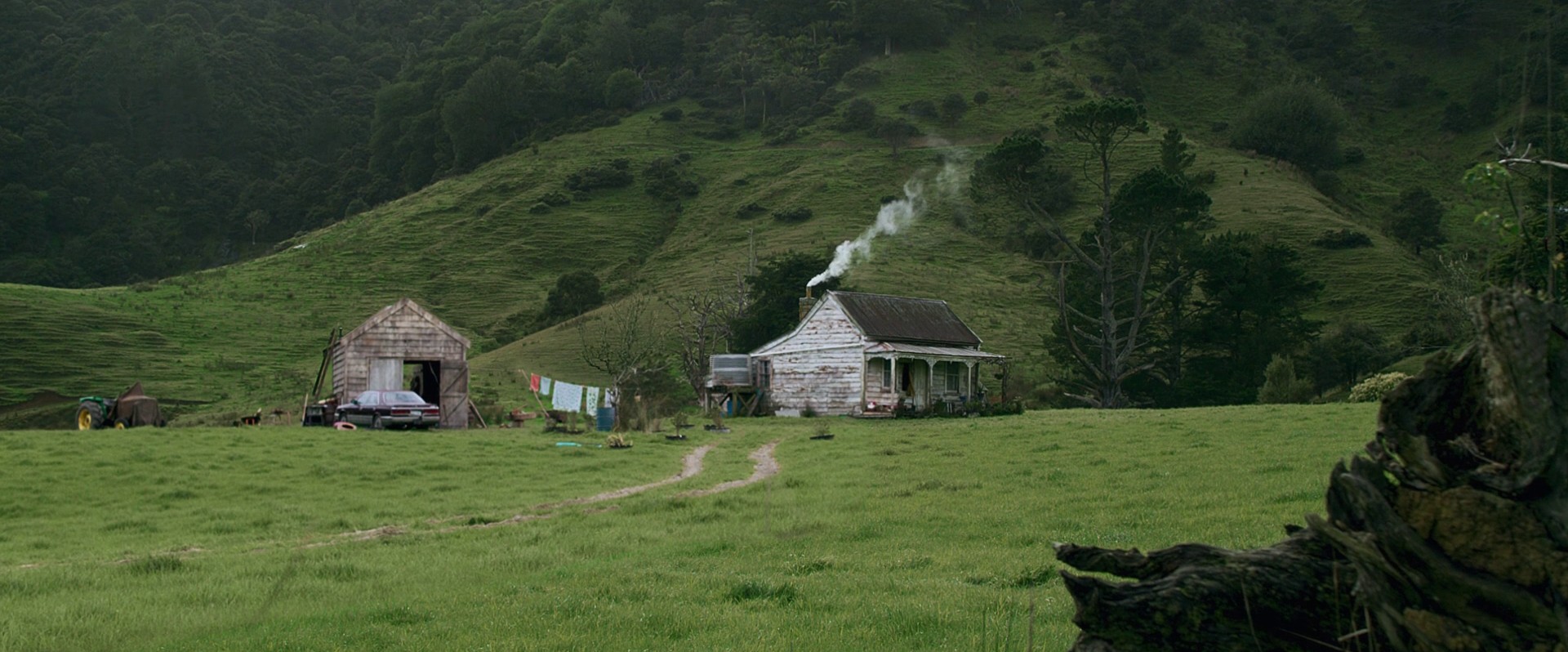 Hunt for the Wilderpeople (2016) —  shot,  lighting