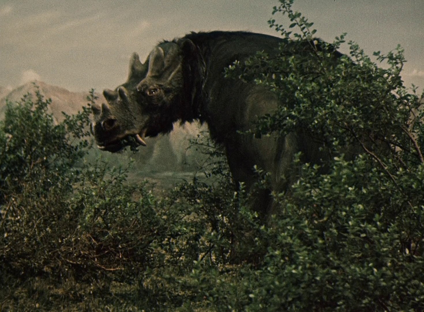 A Journey to the Beginning of Time (1955) —  shot,  lighting