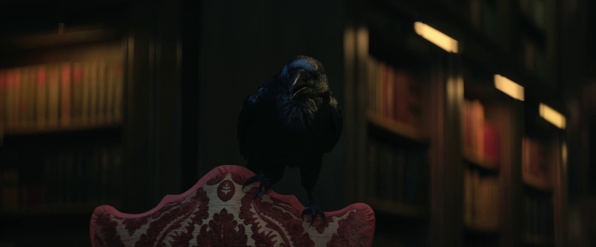 Collectors (2022) —  shot,  lighting