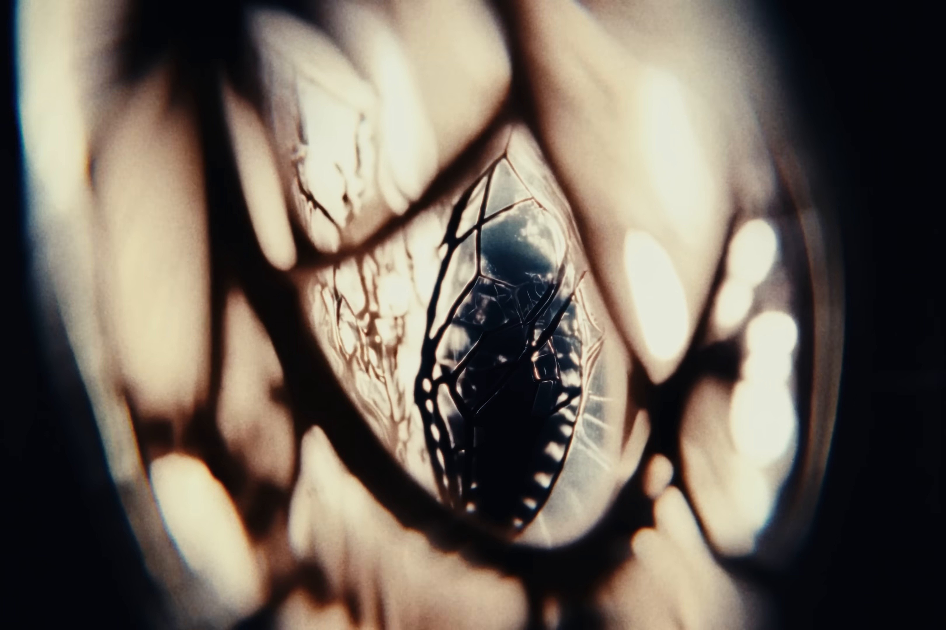 Farbenblind (2024) —  shot,  lighting