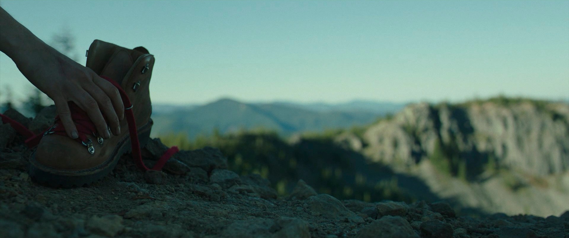 Wild (2014) —  shot,  lighting