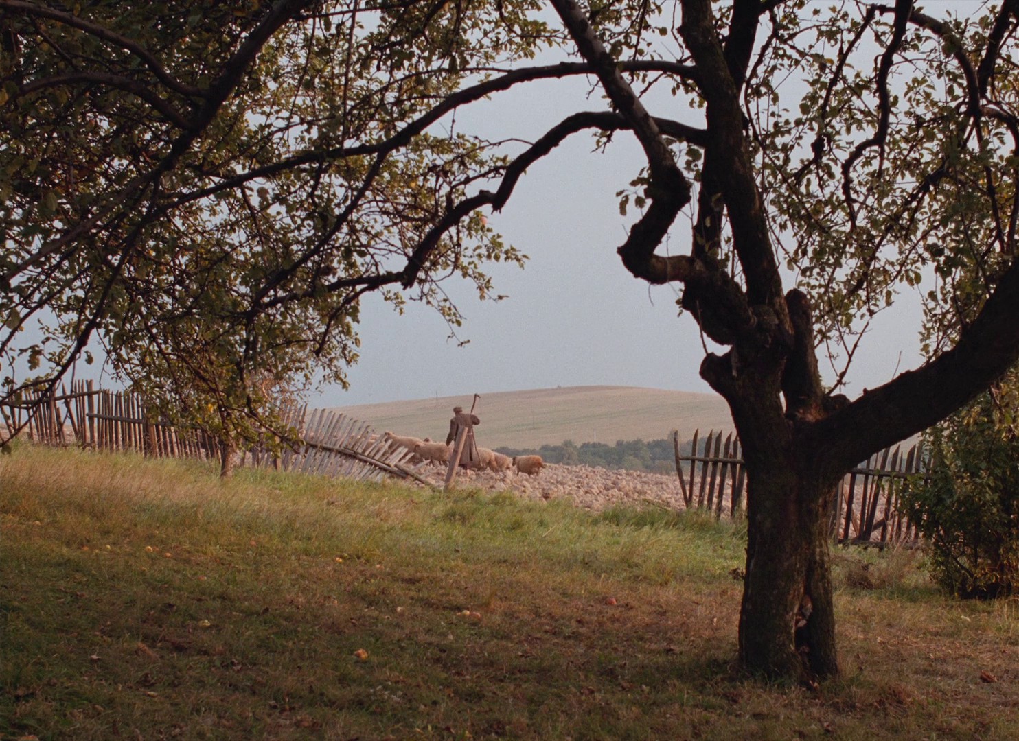 The Garden (1996) —  shot,  lighting