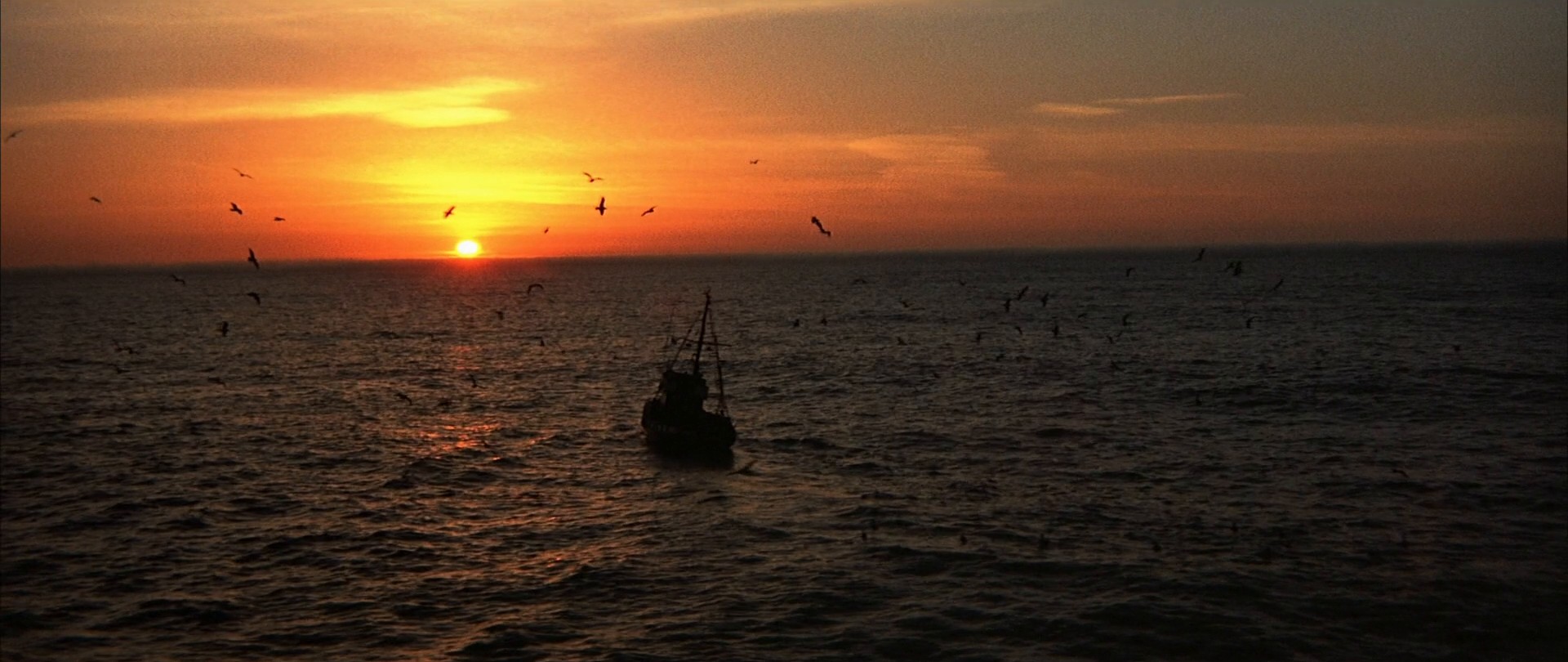 Jonathan Livingston Seagull (1973) —  shot,  lighting