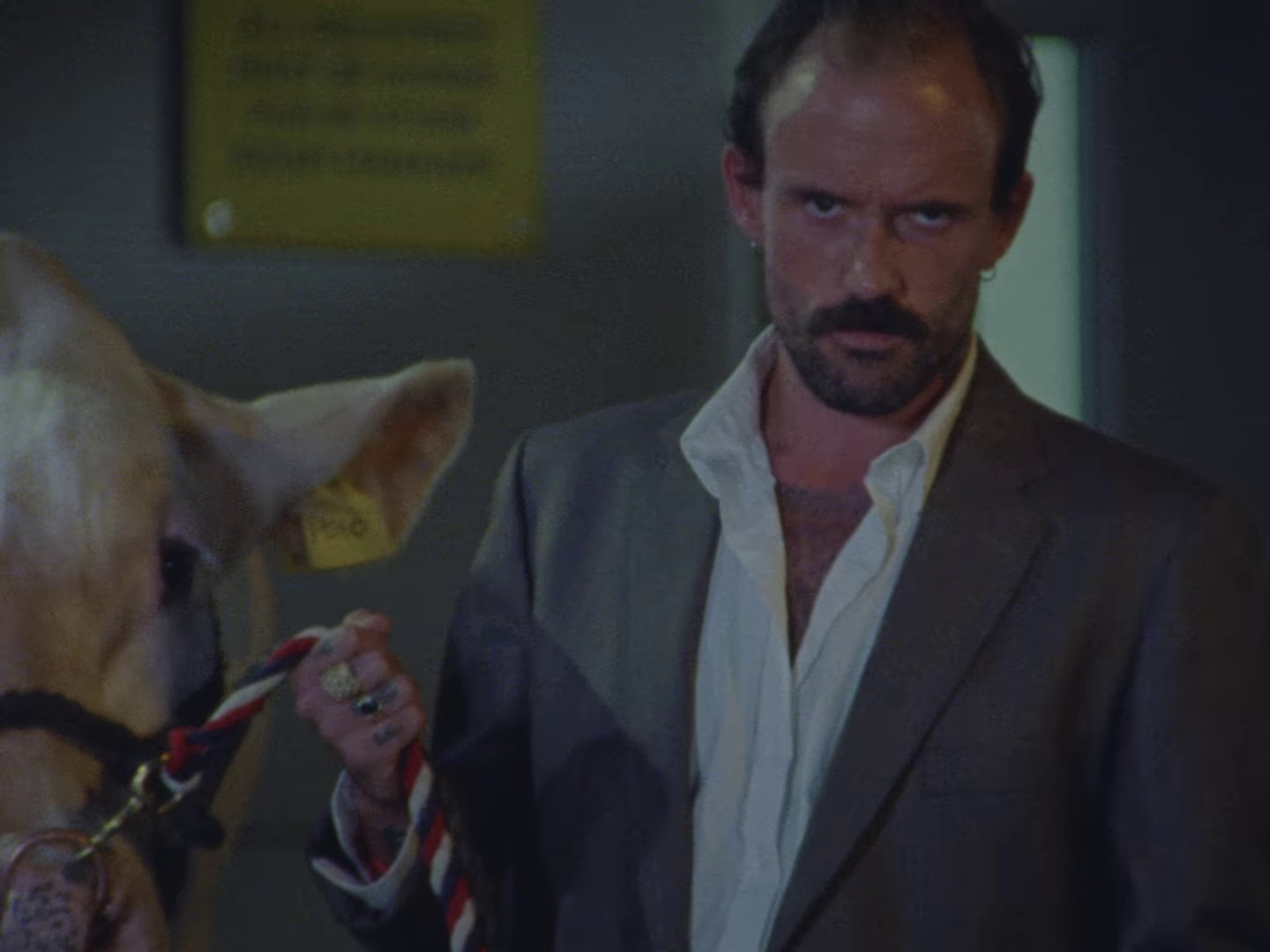 GIFT HORSE (2024) —  shot,  lighting