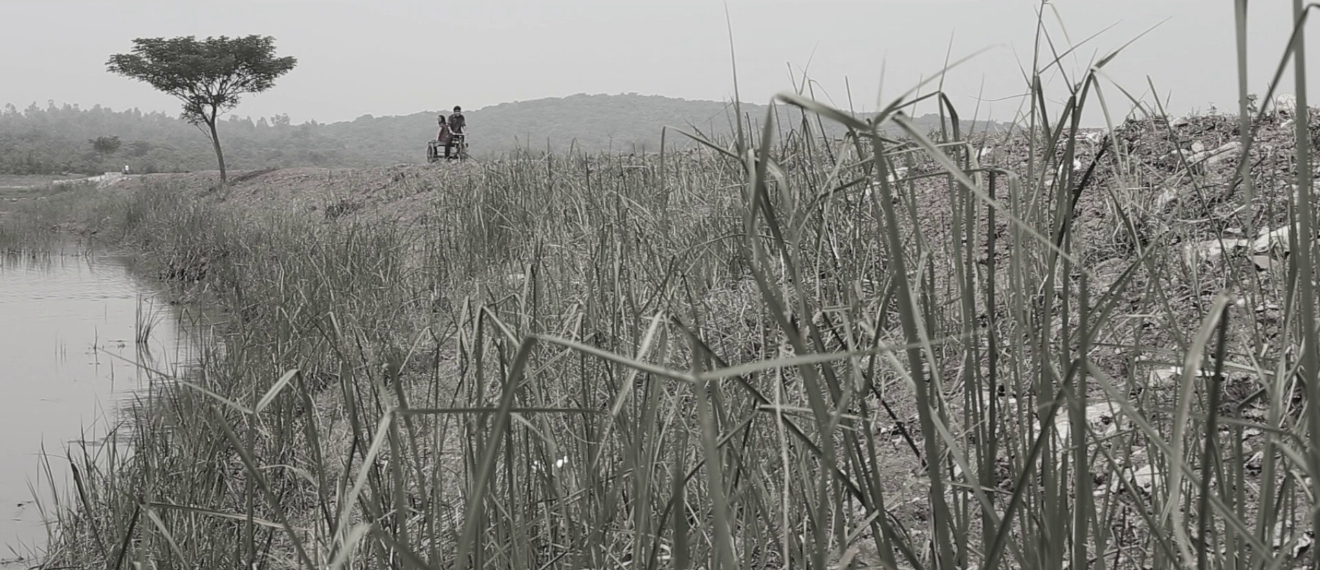 Adieu Godard (2022) —  shot,  lighting