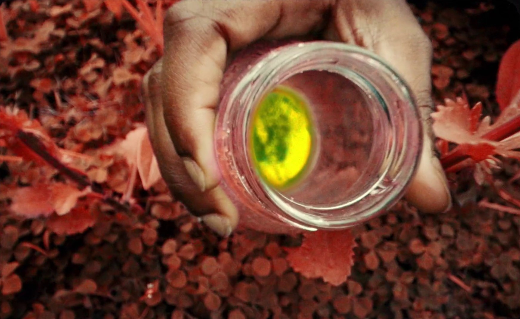 Floor Seats (2023) —  shot,  lighting