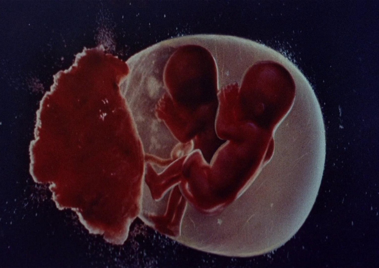 Sisters (1973) —  shot,  lighting