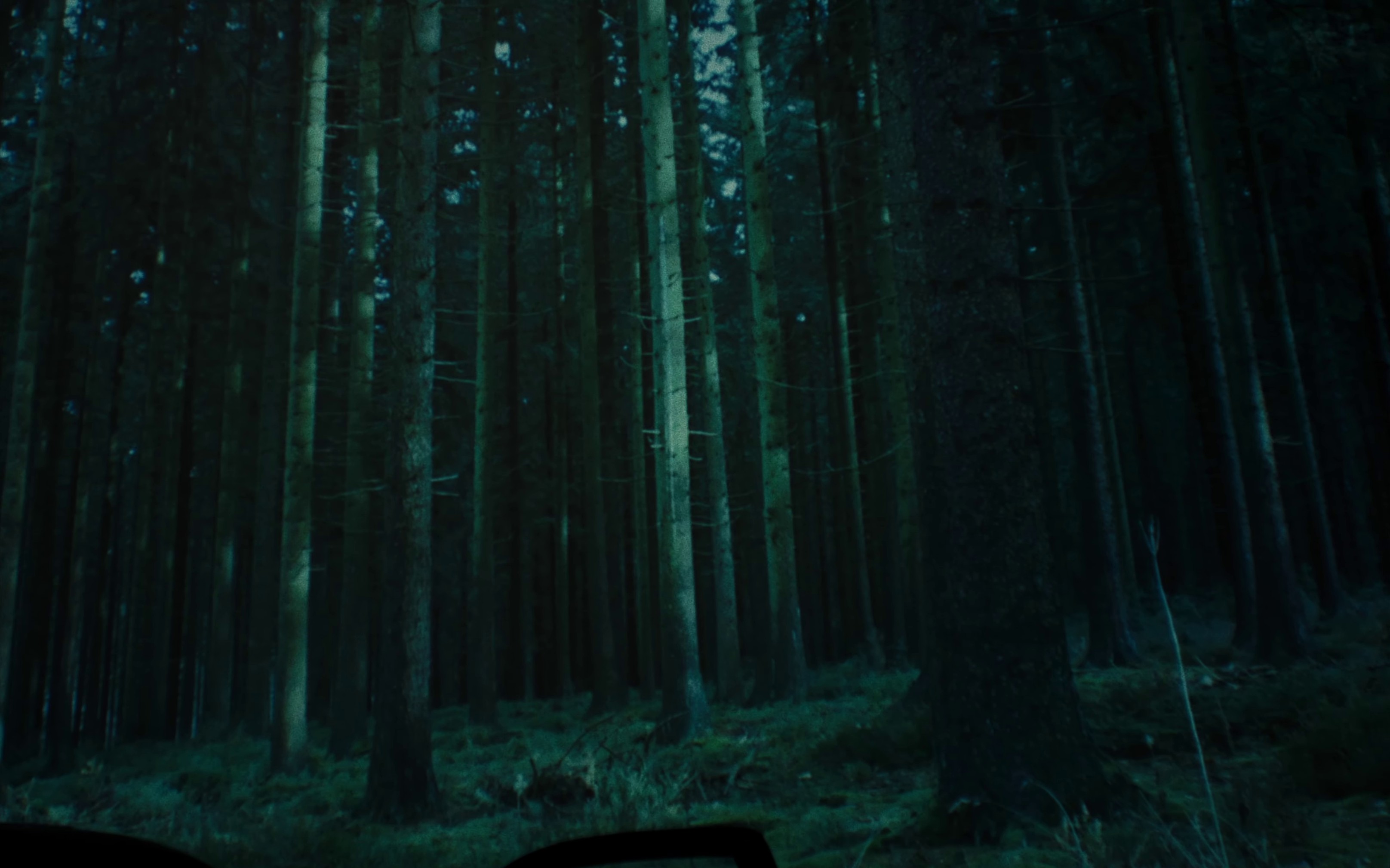 Backbone  (2023) —  shot,  lighting