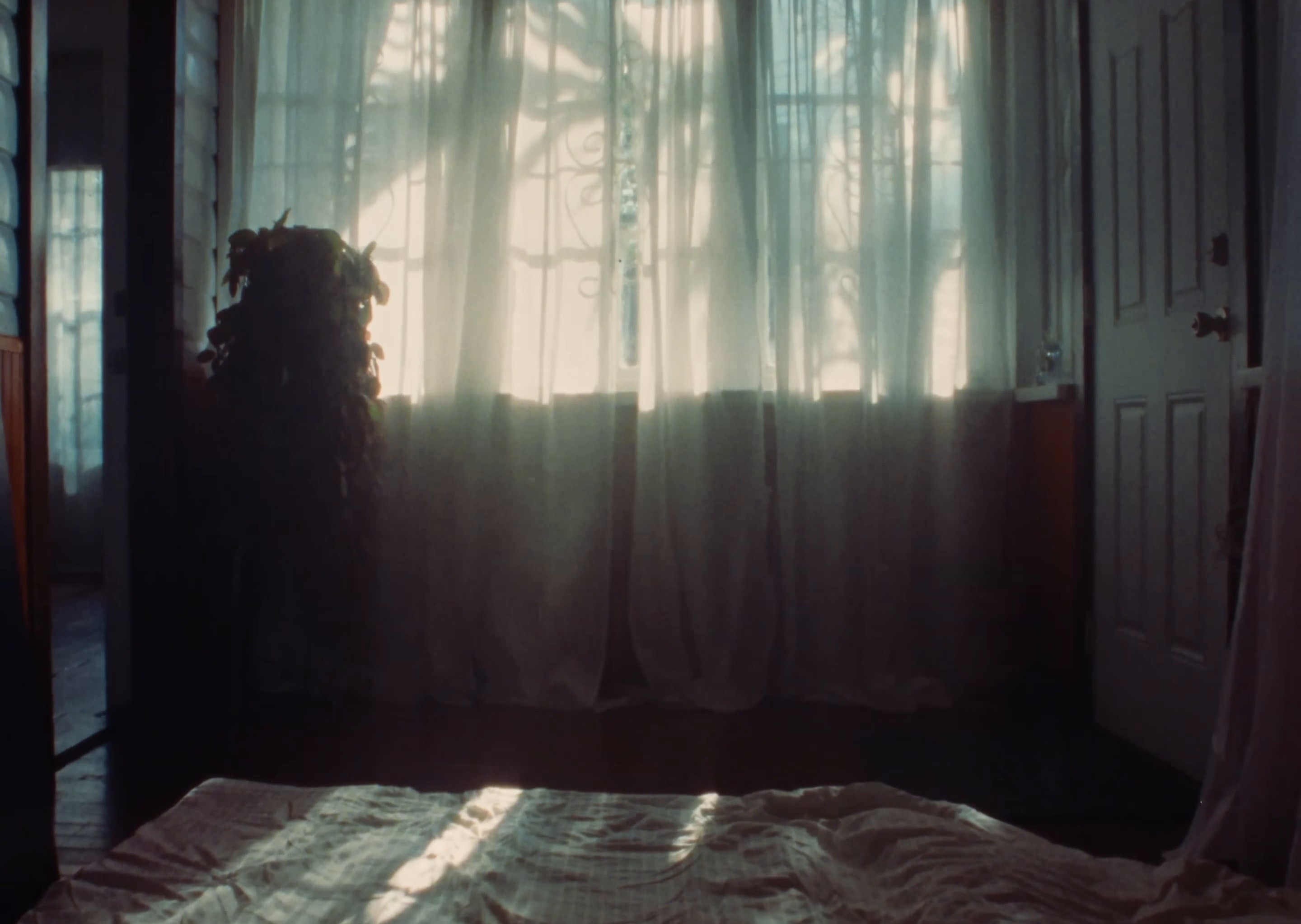 HAHA (2025) —  shot,  lighting