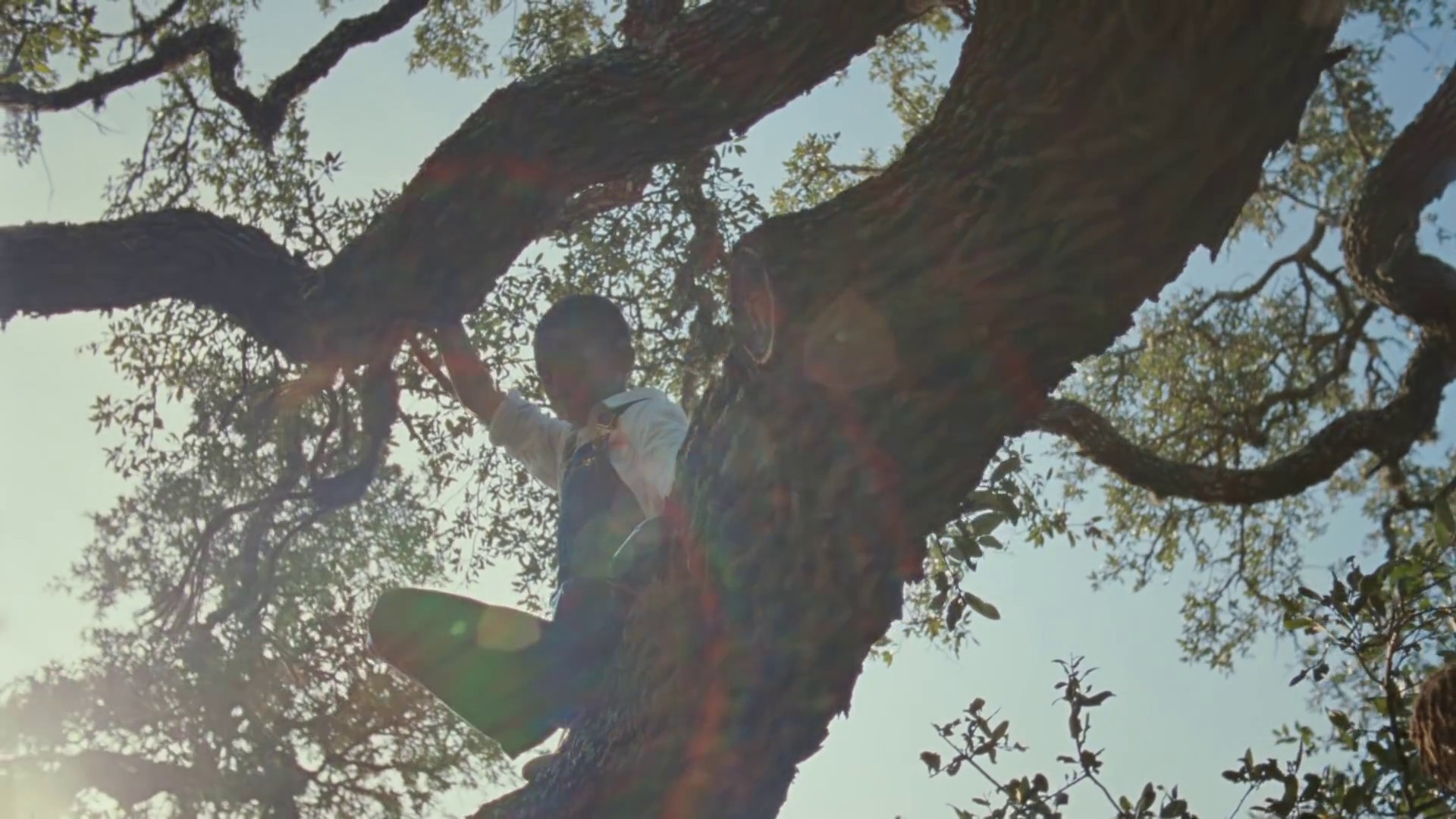 This Land (2019) —  shot,  lighting